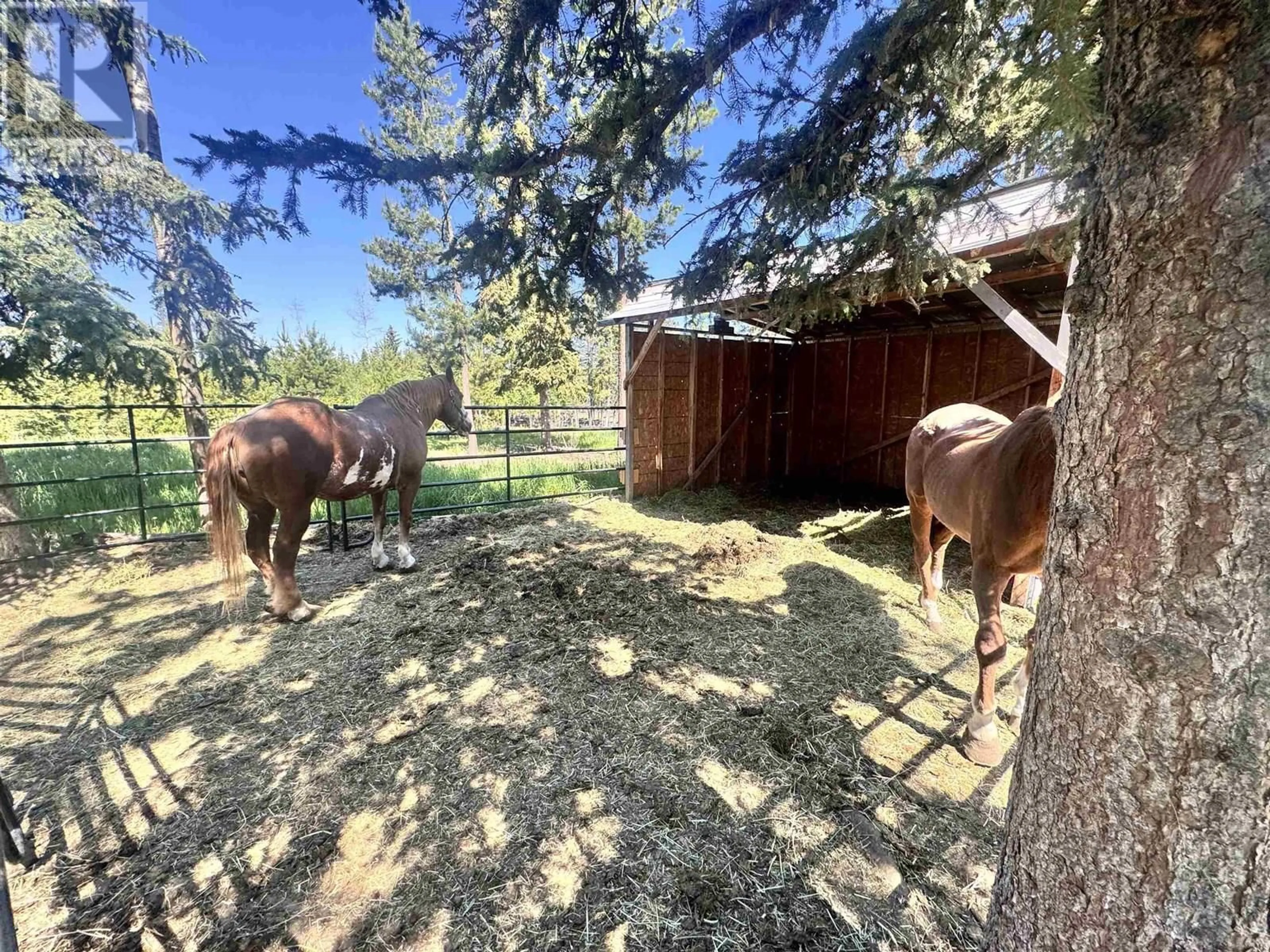 A pic from outside/outdoor area/front of a property/back of a property/a pic from drone, forest/trees view for 7085 WATCH LAKE ROAD, Lone Butte British Columbia V0K1X0