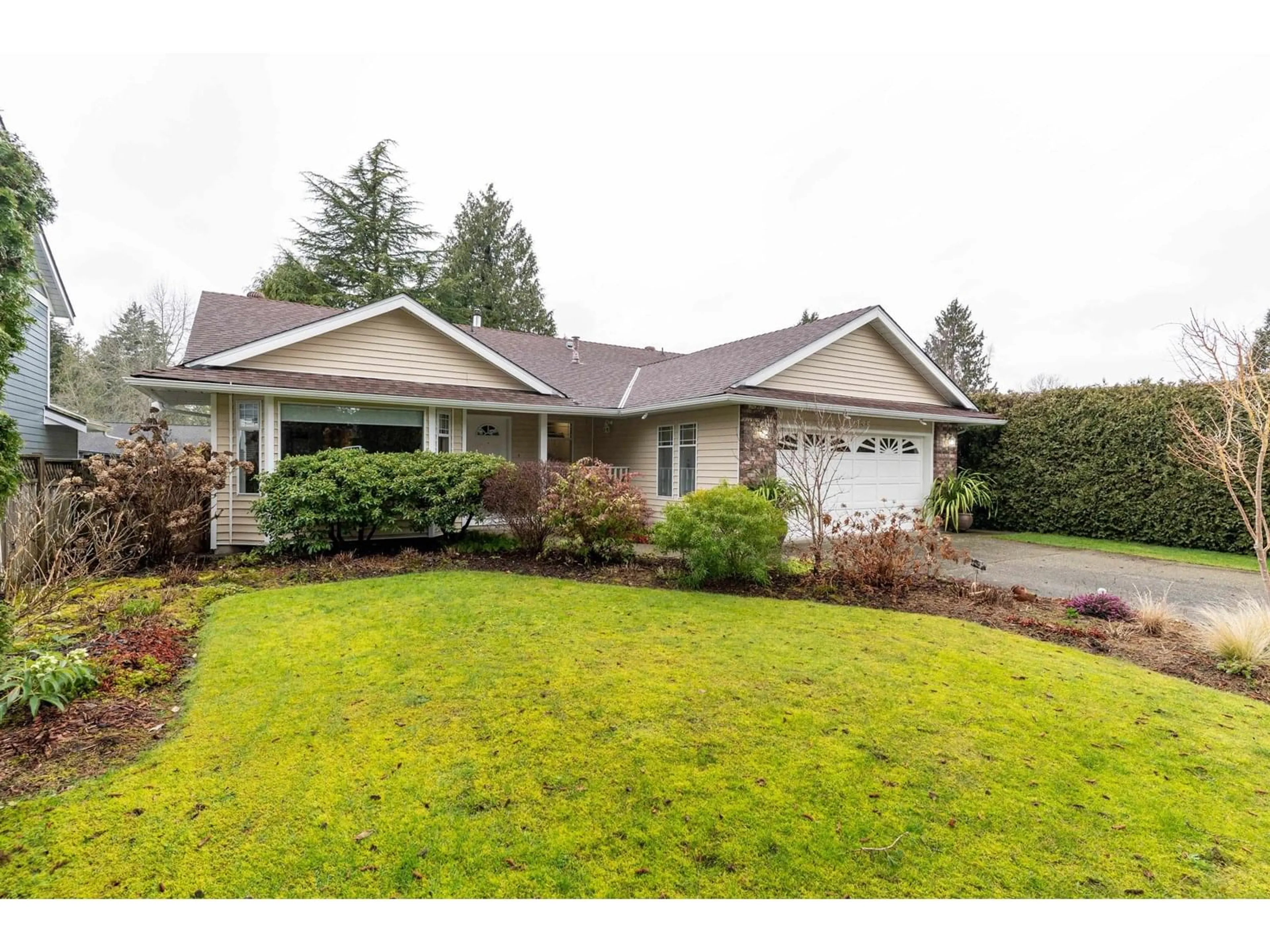 Home with vinyl exterior material, street for 1135 163B, Surrey British Columbia V4A8E8