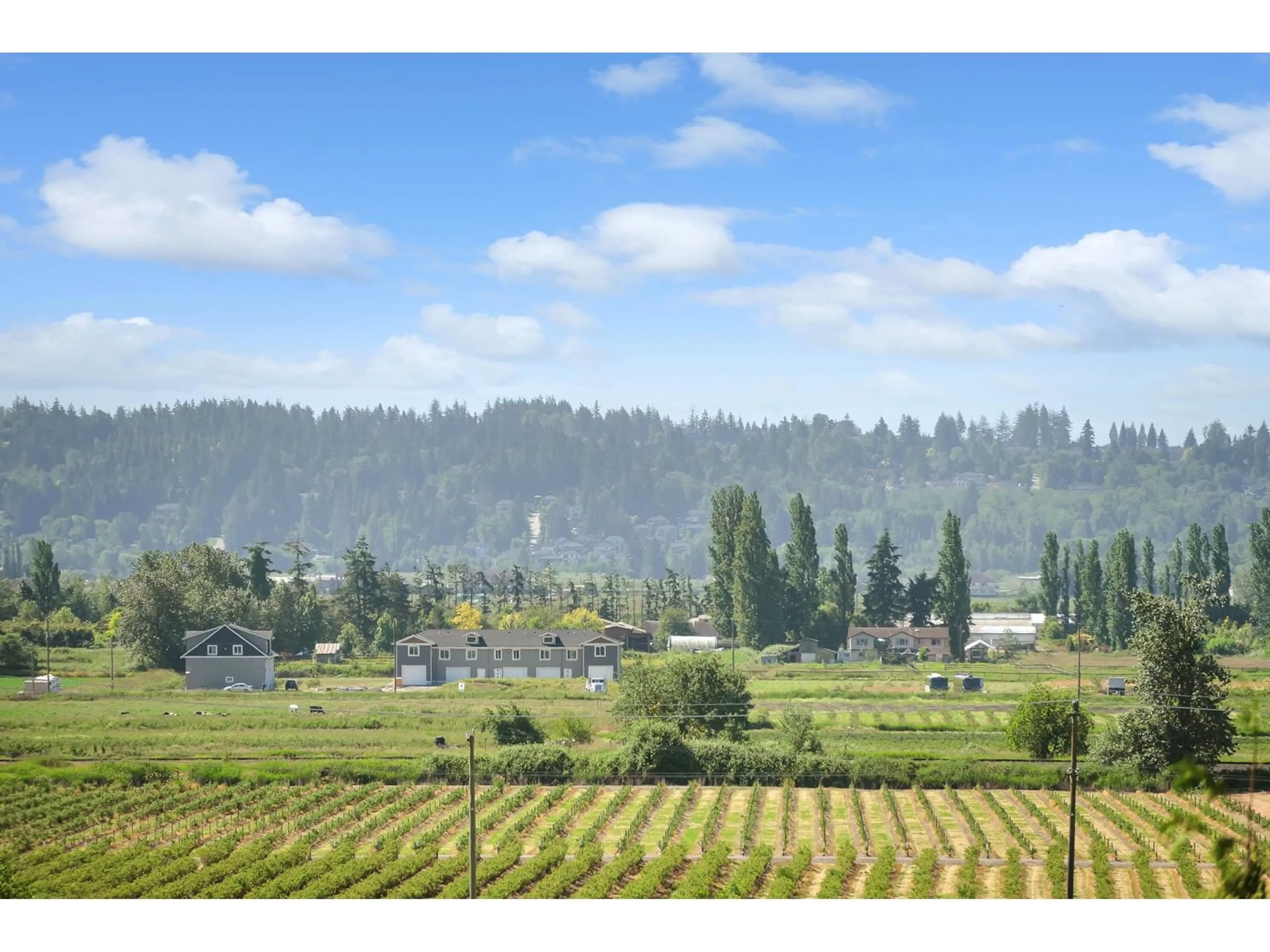 Blurry image for 16602 BELL, Surrey British Columbia V3S1H8