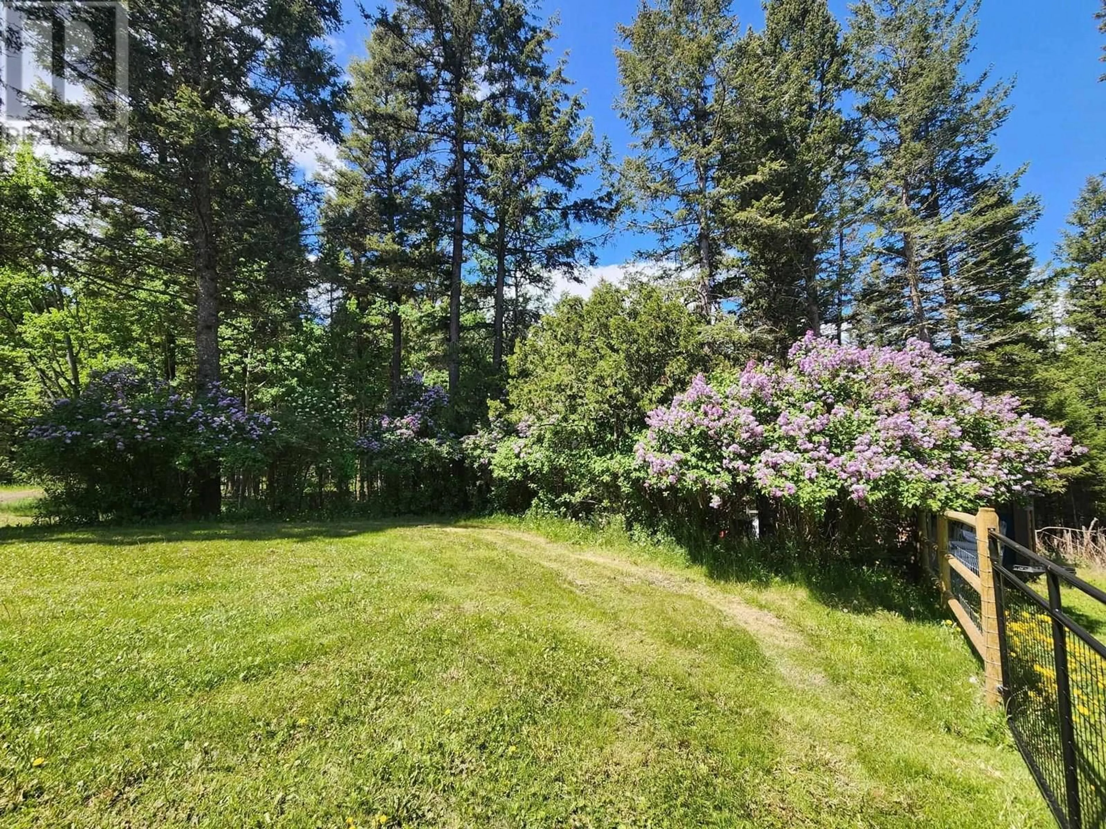A pic from outside/outdoor area/front of a property/back of a property/a pic from drone, forest/trees view for 4975 PLATEAU ROAD, 108 Mile Ranch British Columbia V0K2Z0