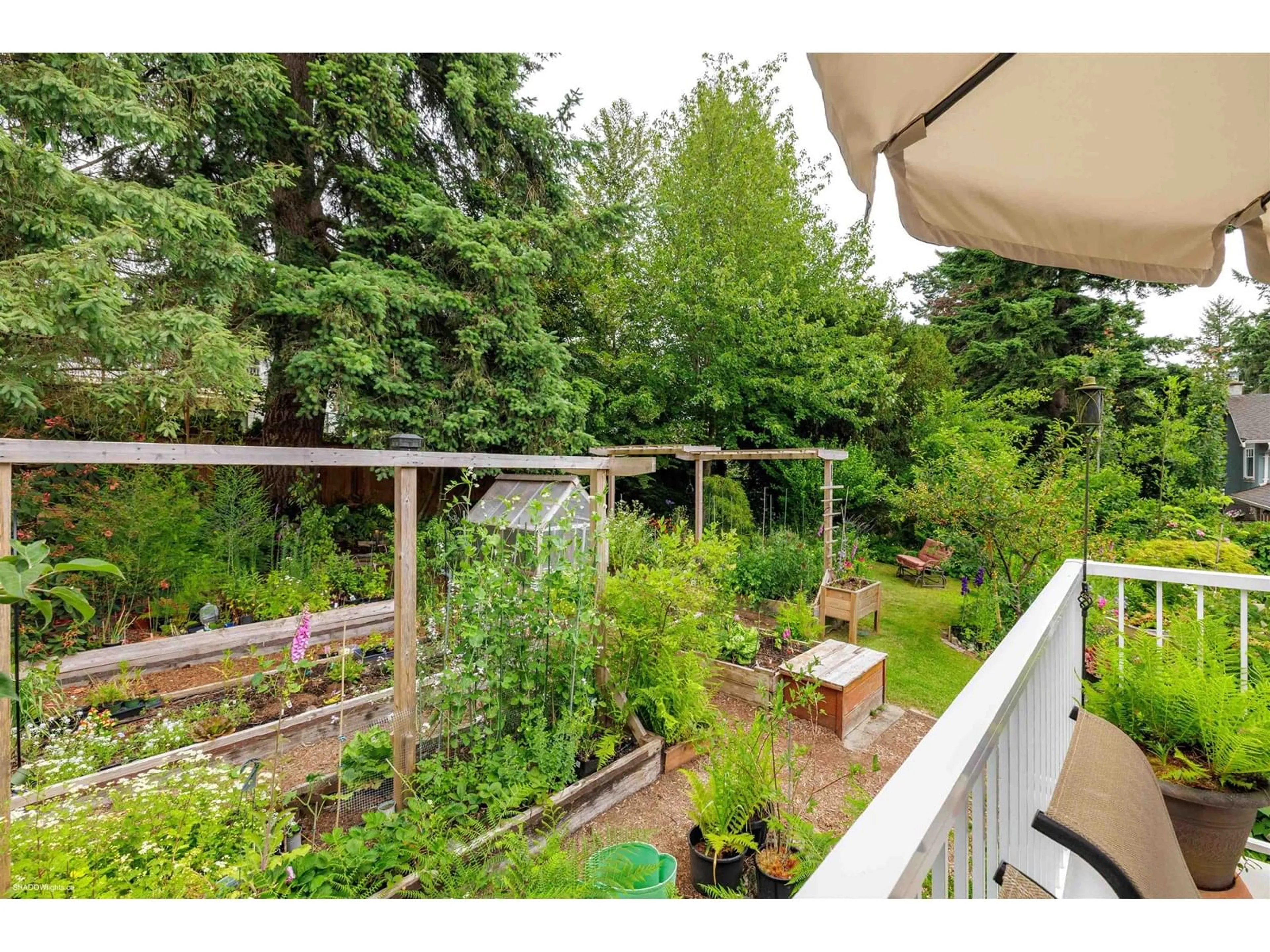 Patio, forest/trees view for 11073 LAWRIE, Delta British Columbia V4E1G8