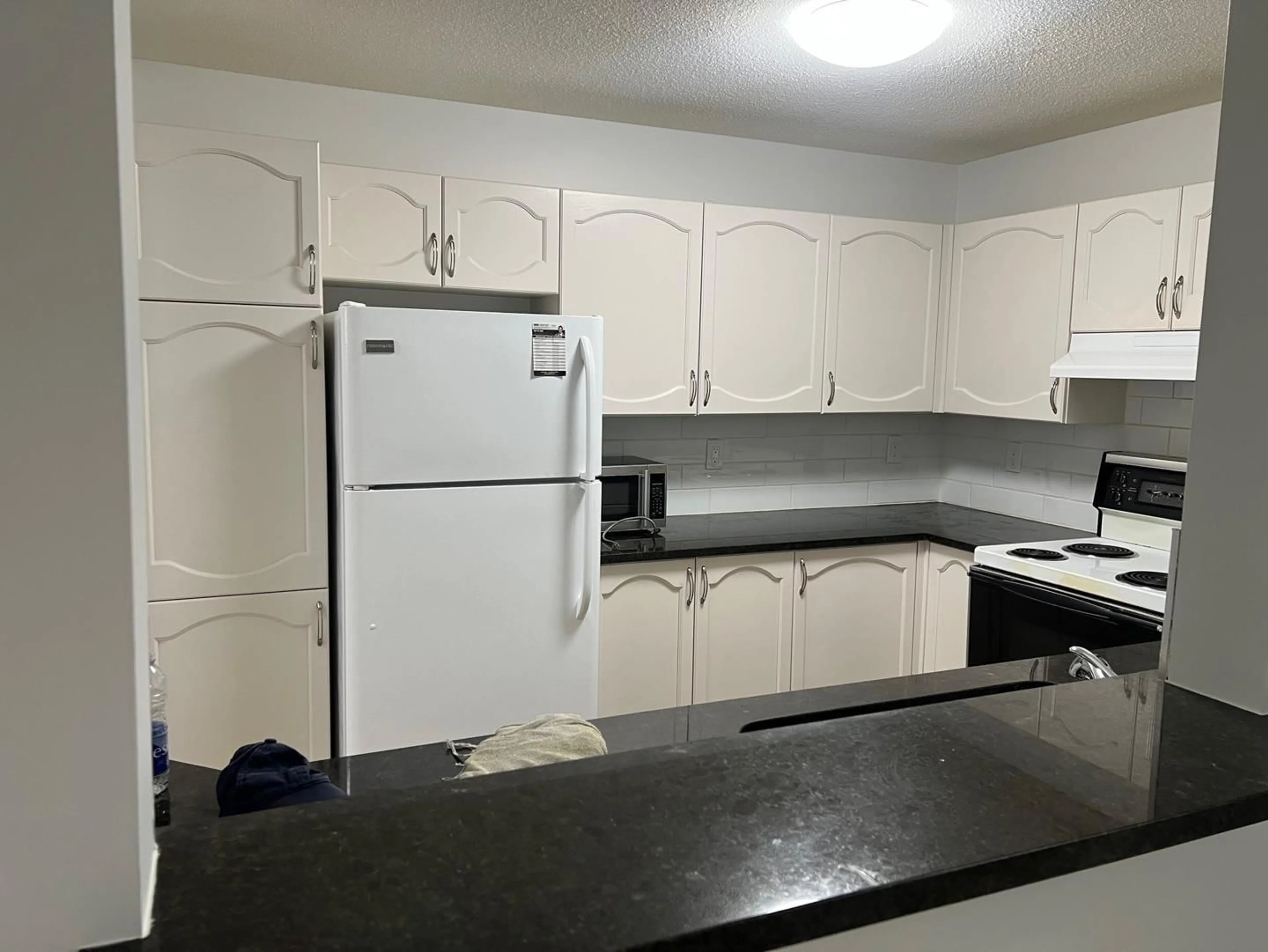 Standard kitchen, unknown for 108 - 10721 139, Surrey British Columbia V3T4L8