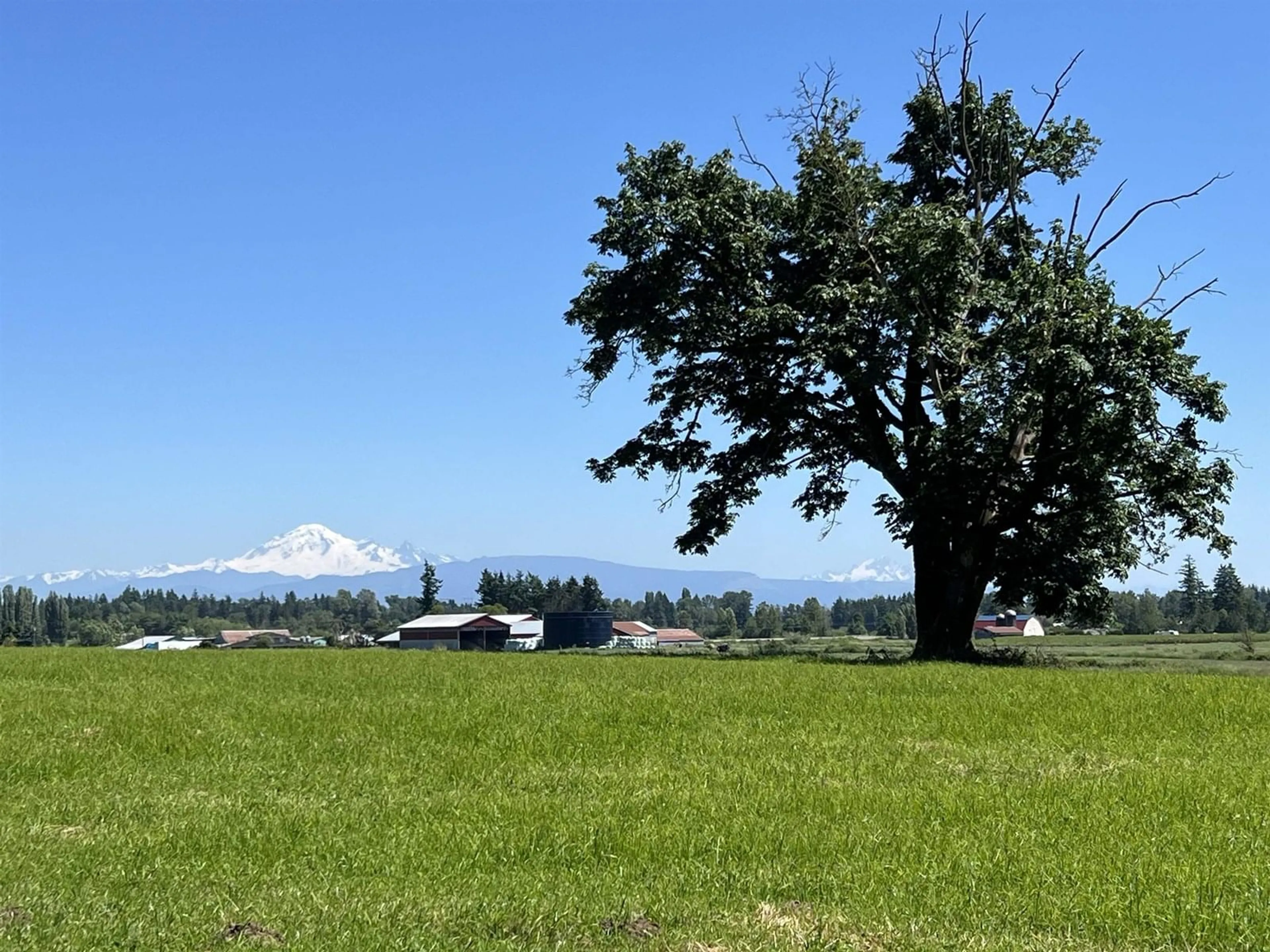 A pic from outside/outdoor area/front of a property/back of a property/a pic from drone, mountain view for 26176 24, Langley British Columbia V4W2L3