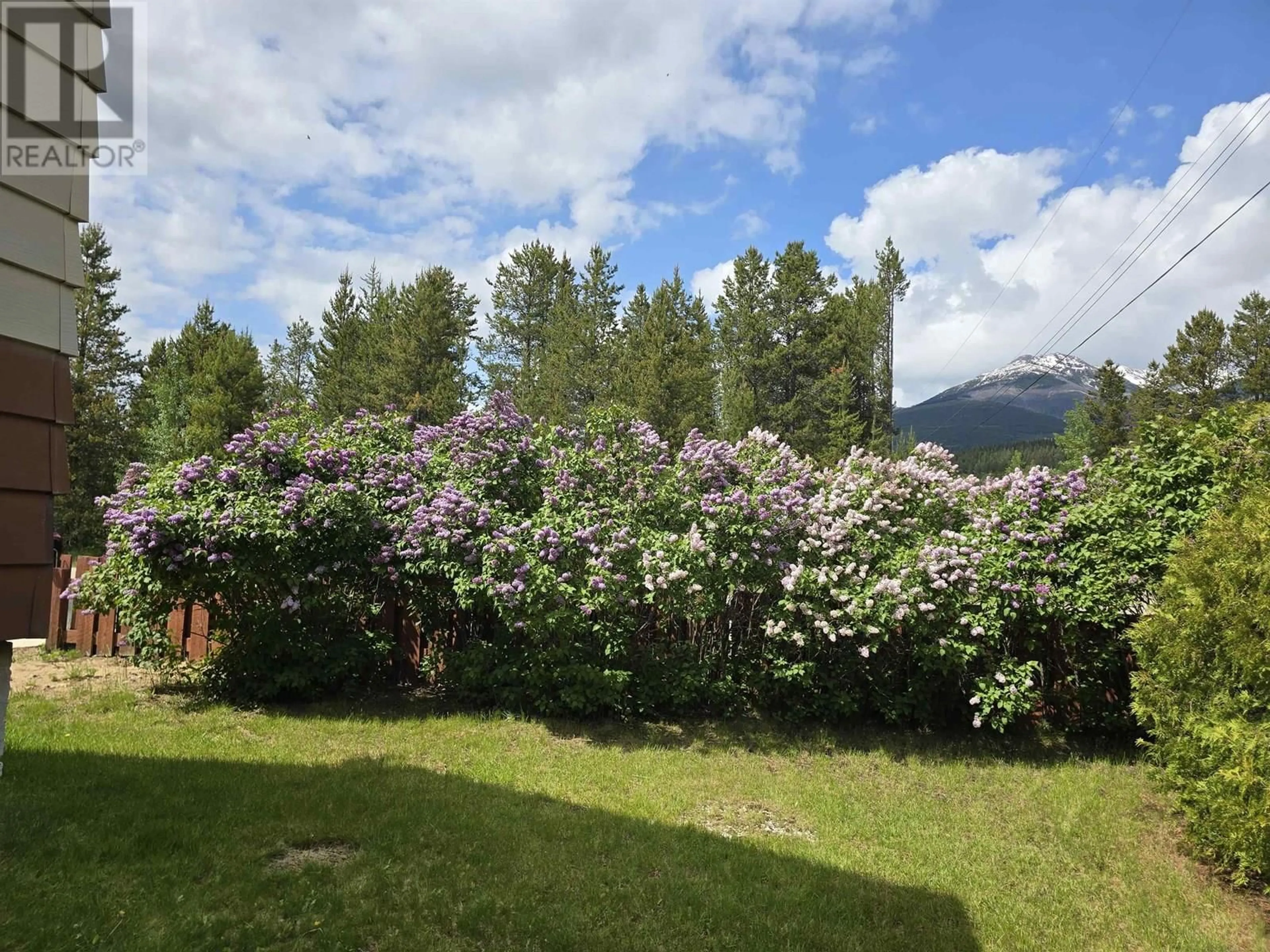 Patio, forest/trees view for 1001 7TH AVENUE, Valemount British Columbia V0E2Z0