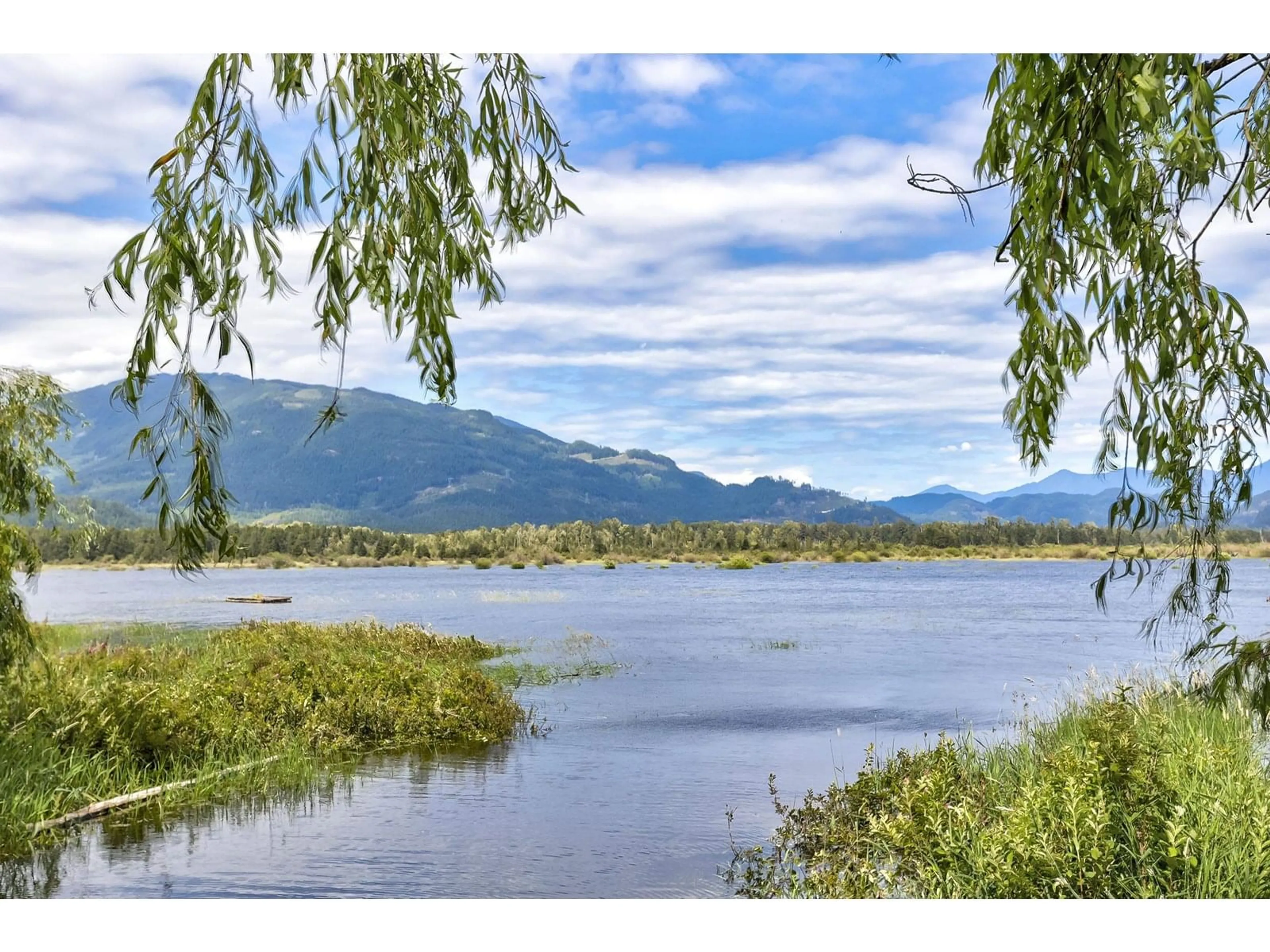 Blurry image for 62 - 14600 MORRIS VALLEY, Mission British Columbia V0M1A1