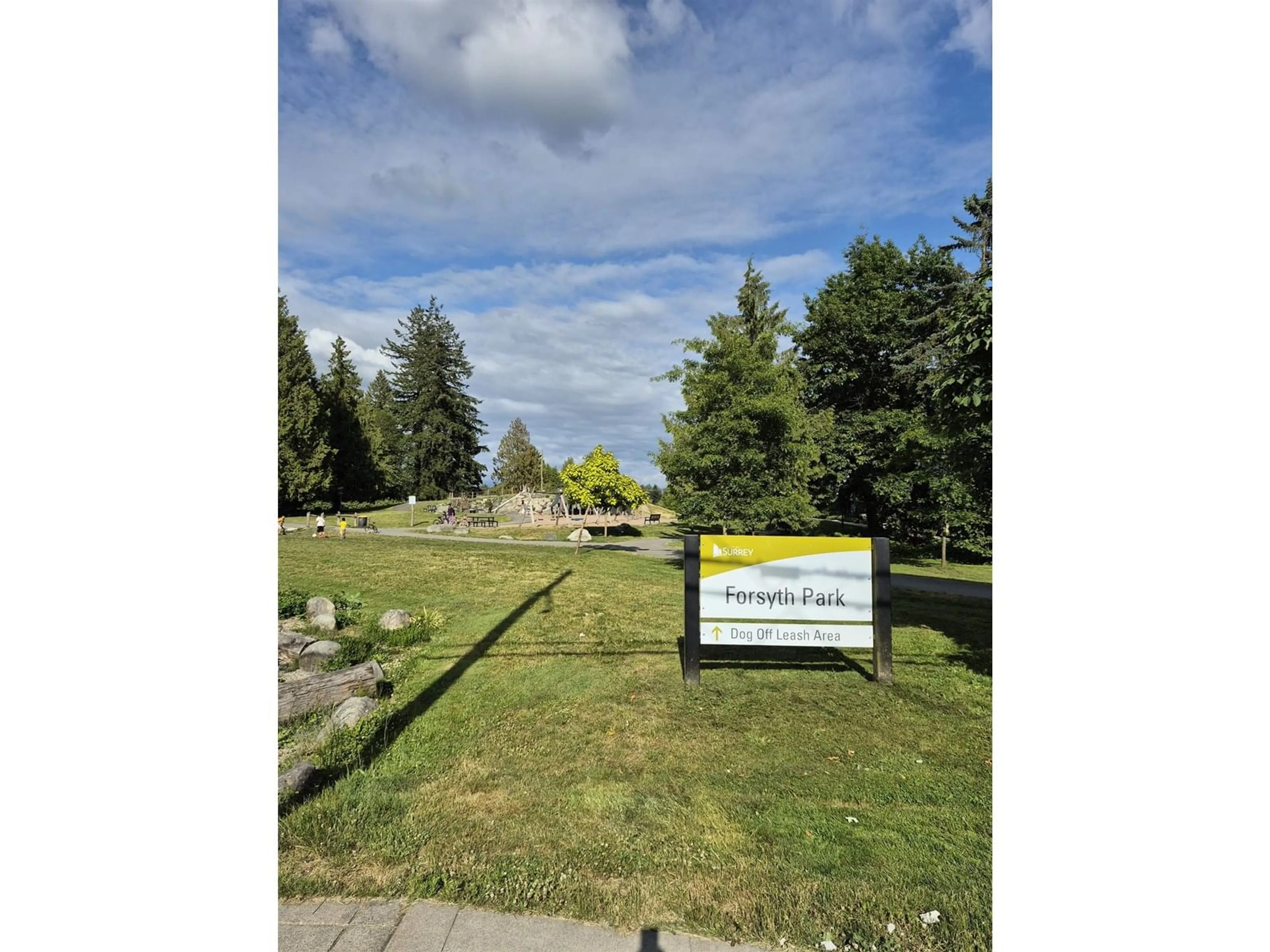 A pic from outside/outdoor area/front of a property/back of a property/a pic from drone, mountain view for 10617 138A, Surrey British Columbia V3T4L2