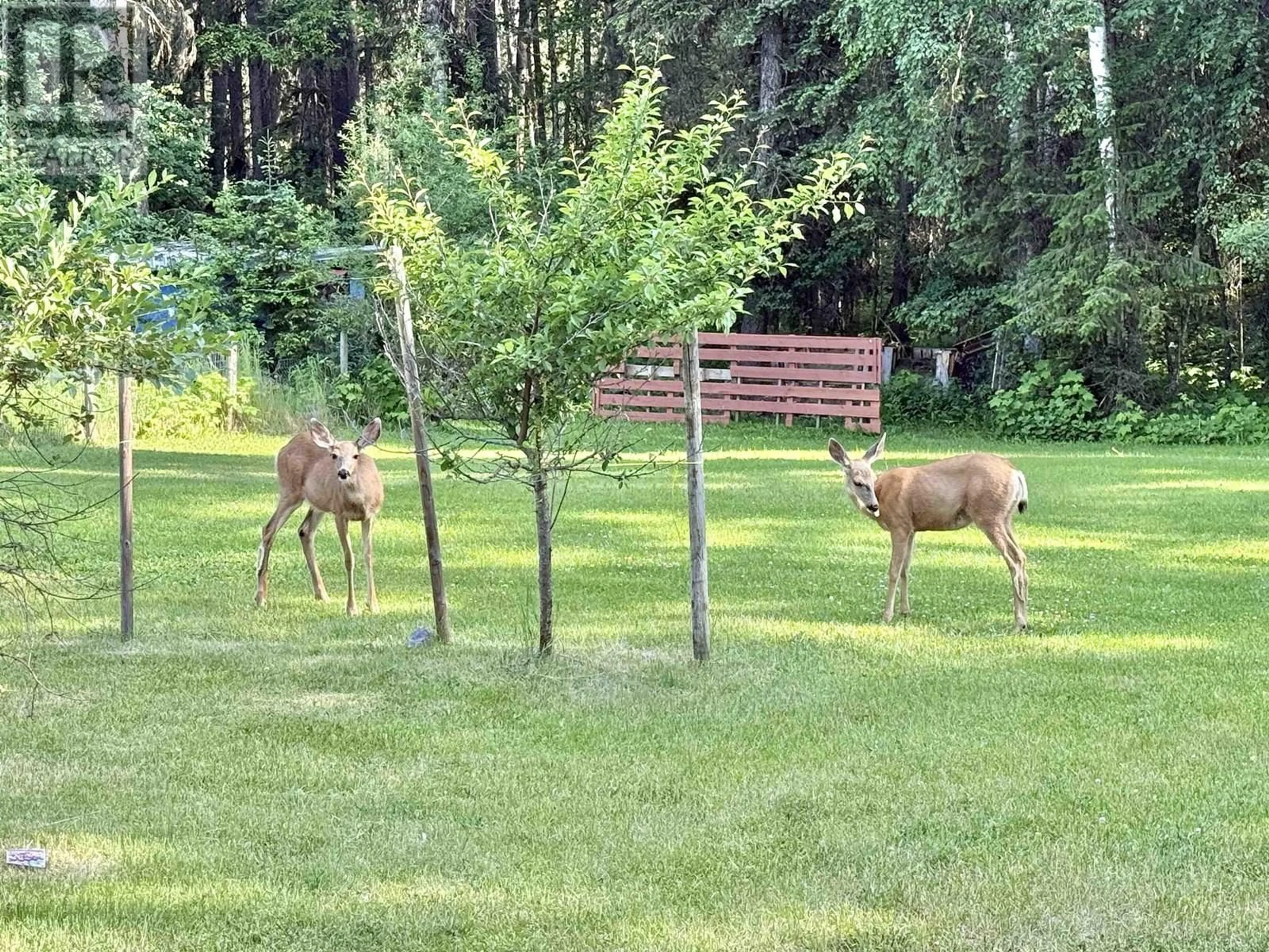 A pic from outside/outdoor area/front of a property/back of a property/a pic from drone, forest/trees view for 2401 TANOKA ROAD, Quesnel British Columbia V2J7B8
