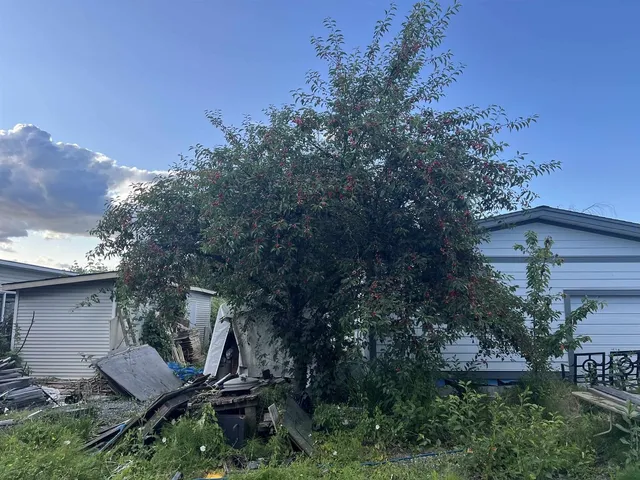 12473 114 AVENUE, Surrey 3