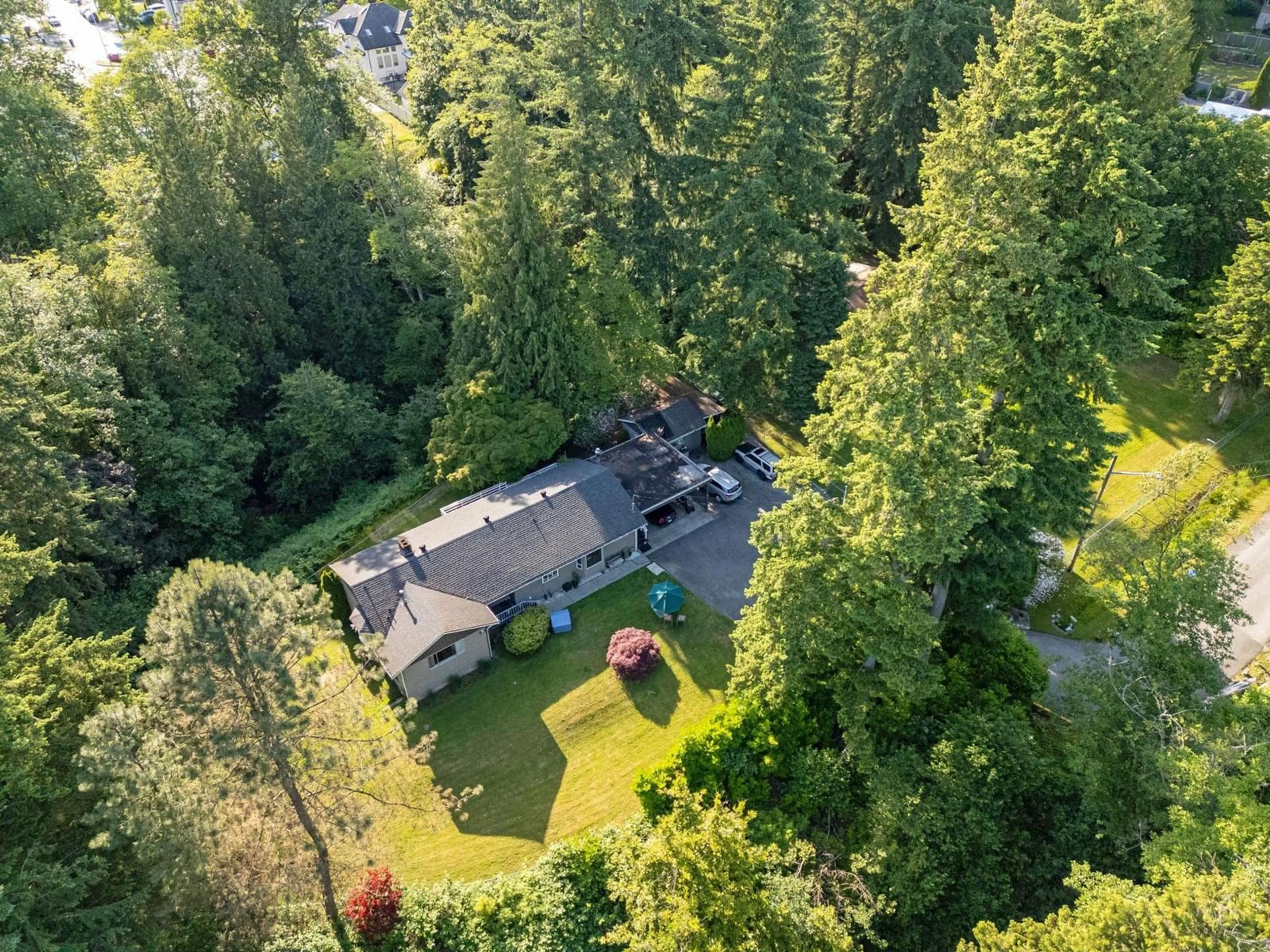 A pic from outside/outdoor area/front of a property/back of a property/a pic from drone, forest/trees view for 8281 148, Surrey British Columbia V3S3G2