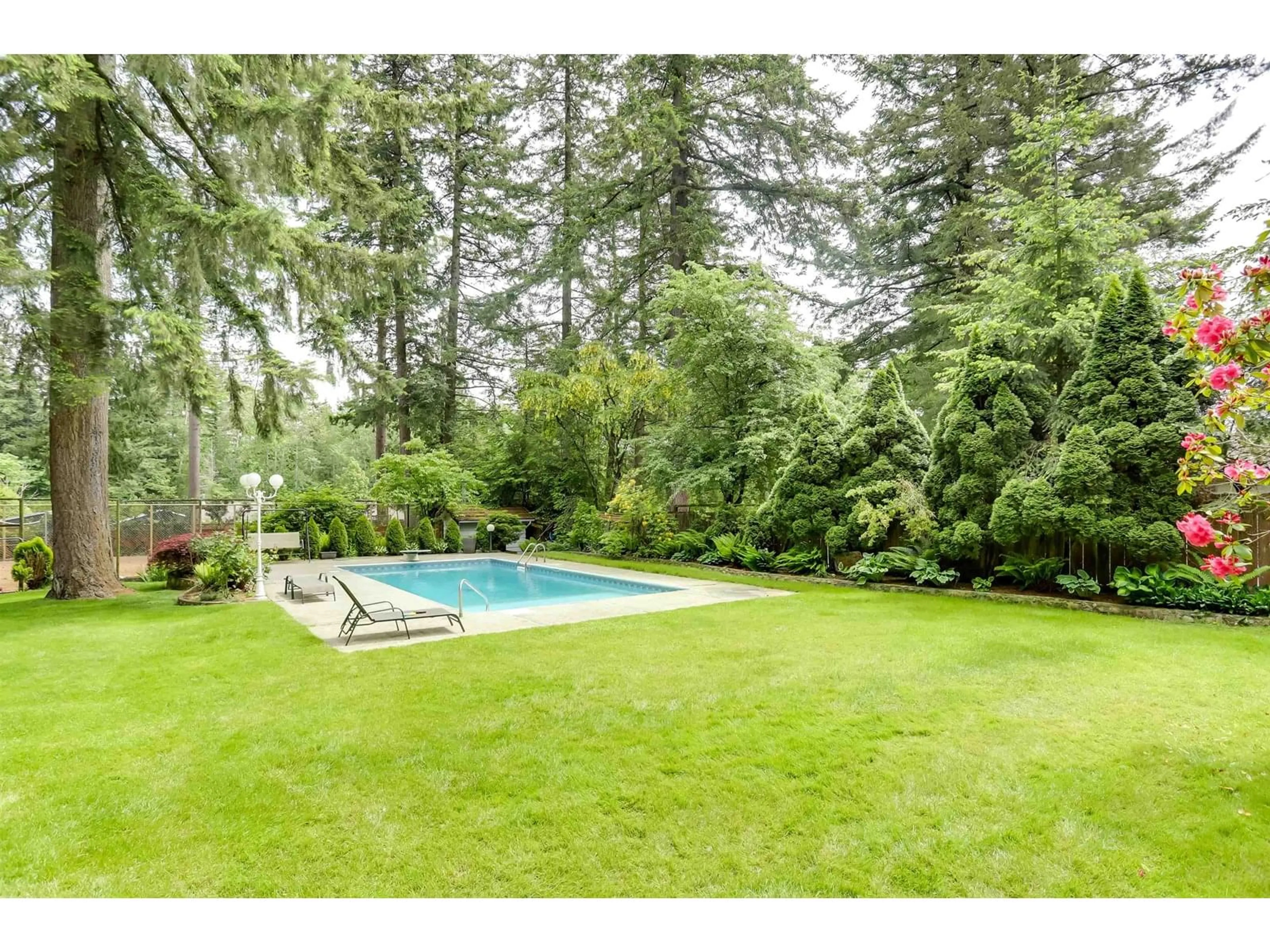 Pool for 2242 173, Surrey British Columbia V3Z9Z7
