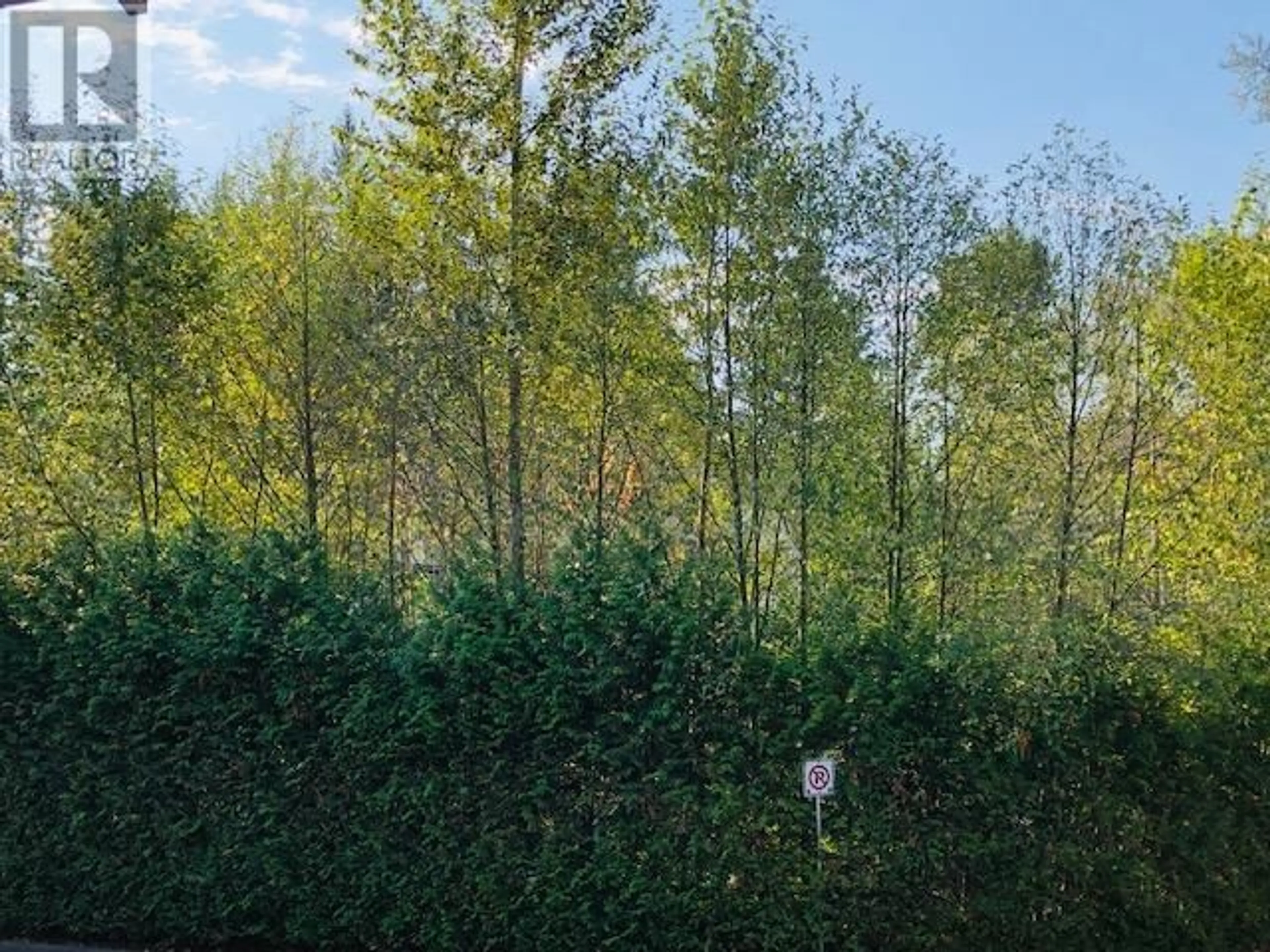 A pic from outside/outdoor area/front of a property/back of a property/a pic from drone, forest/trees view for 22975 134 LOOP, Maple Ridge British Columbia V4R0E6