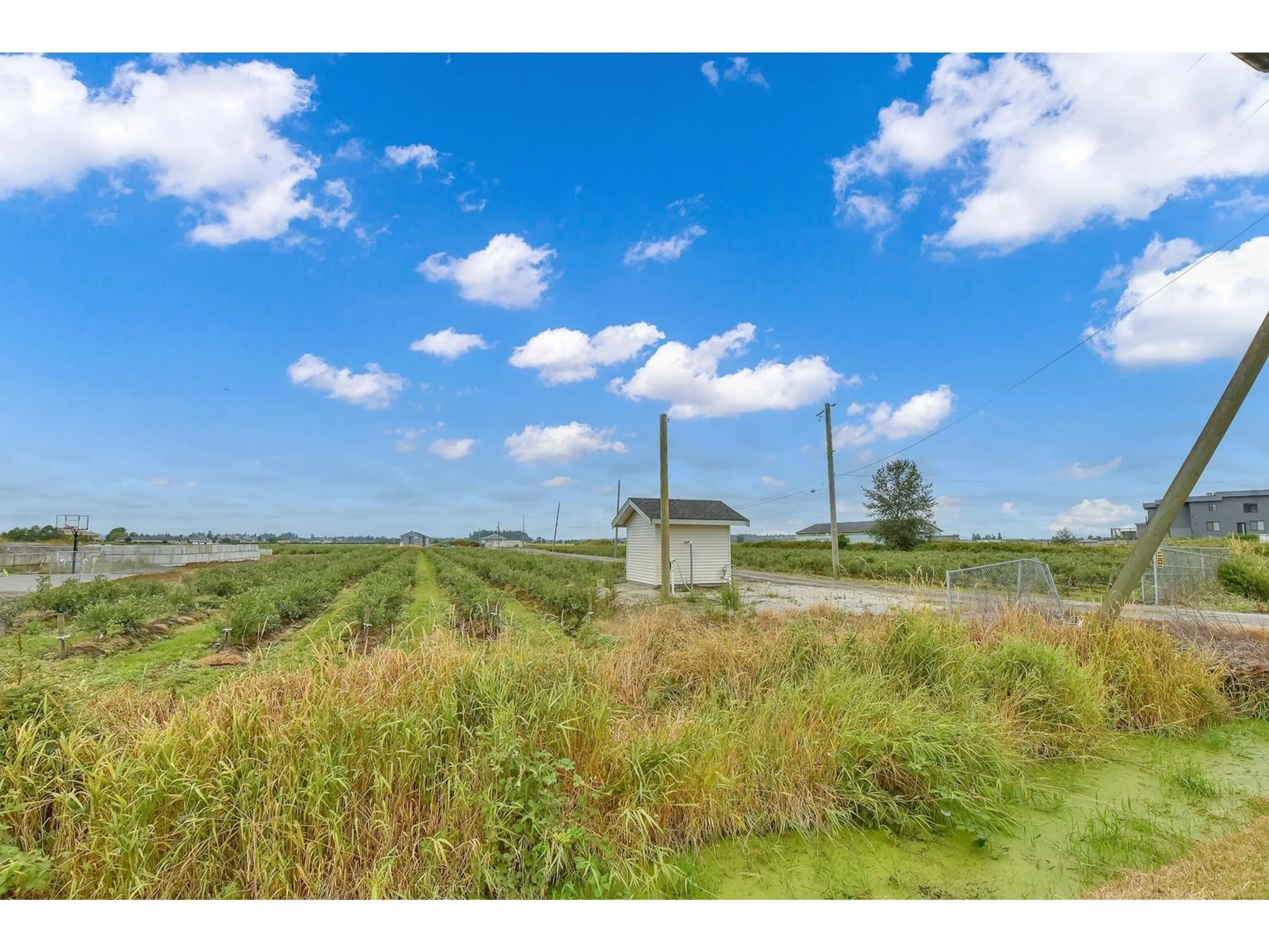 A pic from outside/outdoor area/front of a property/back of a property/a pic from drone, water/lake/river/ocean view for 17027 40, Surrey British Columbia V3S0L5