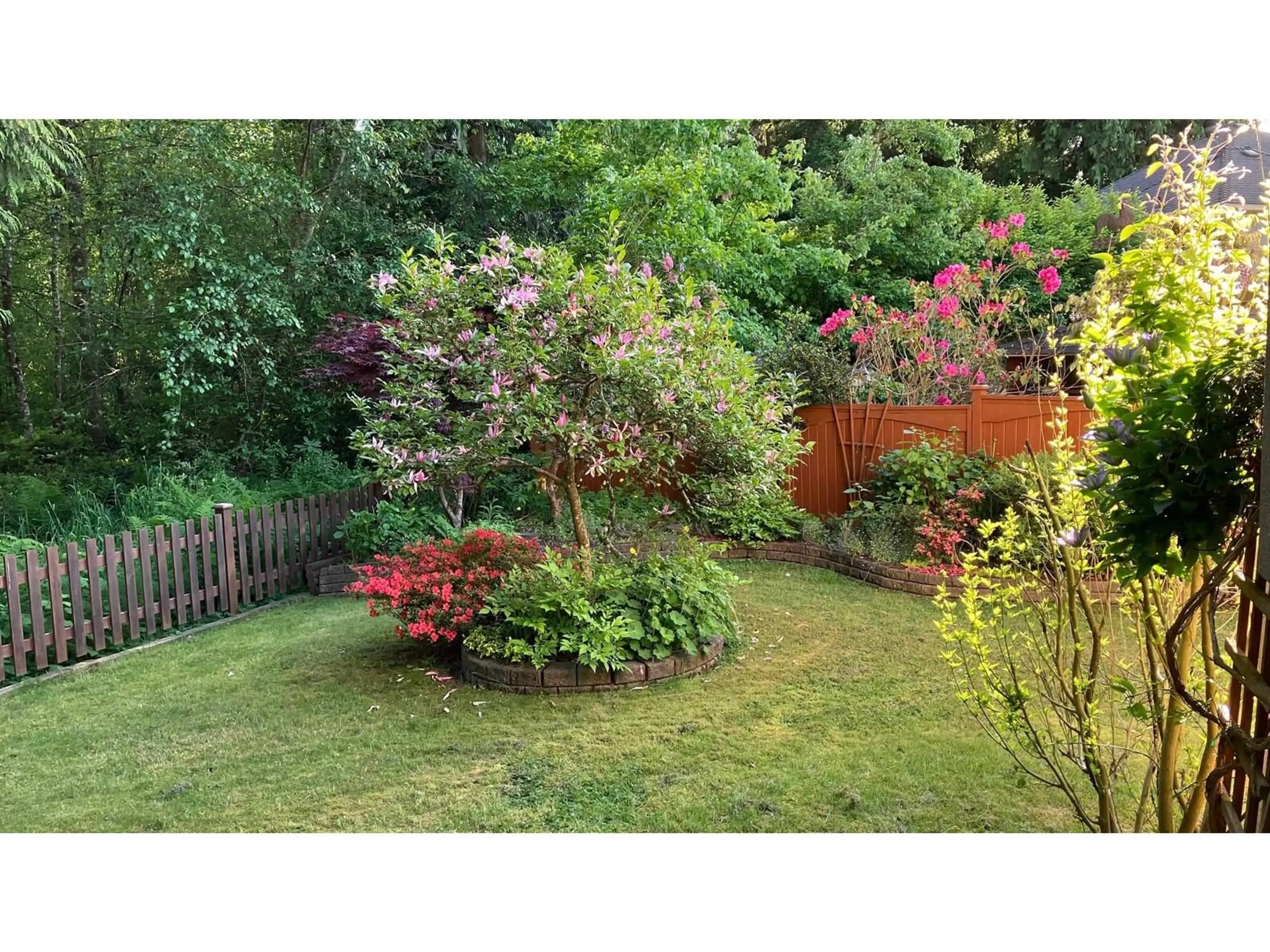 A pic from outside/outdoor area/front of a property/back of a property/a pic from drone, forest/trees view for 2185 140A, Surrey British Columbia V4A9R8