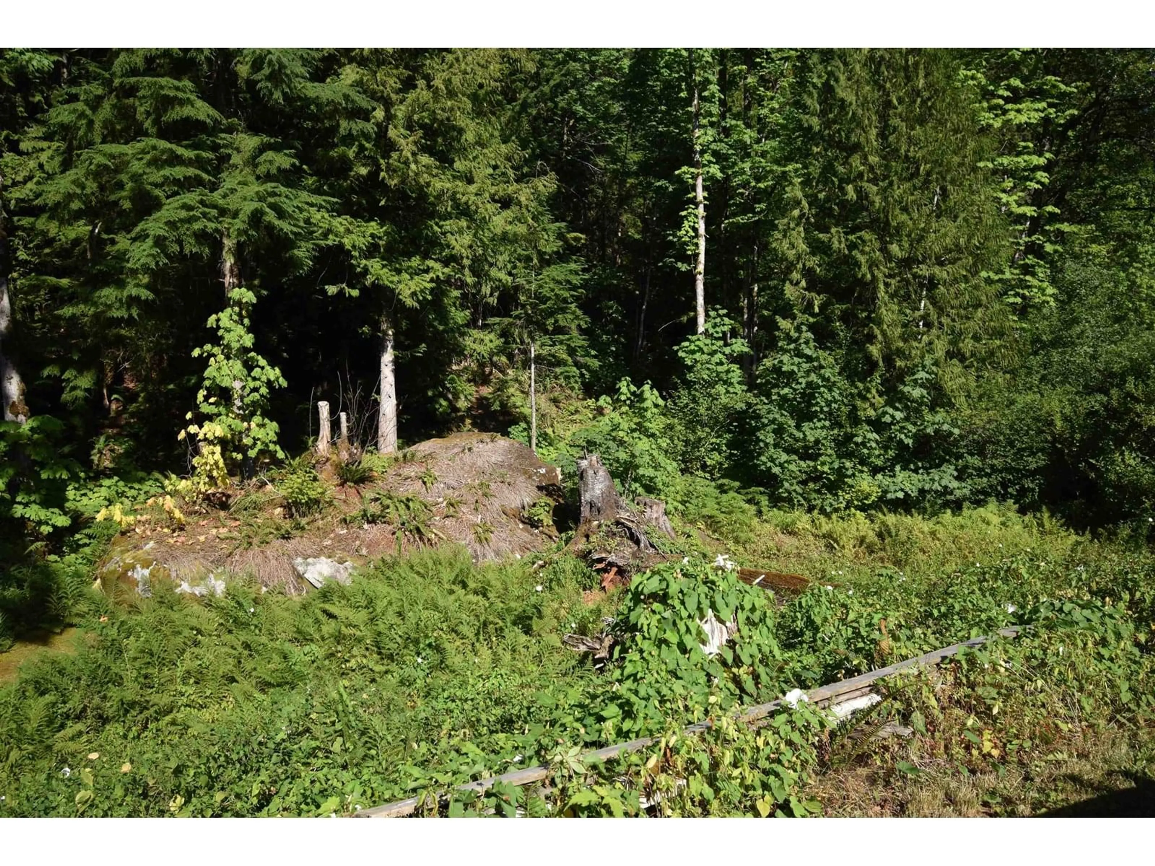A pic from outside/outdoor area/front of a property/back of a property/a pic from drone, forest/trees view for 21169 LANDSTROM ROAD, Hope British Columbia V0X1L3