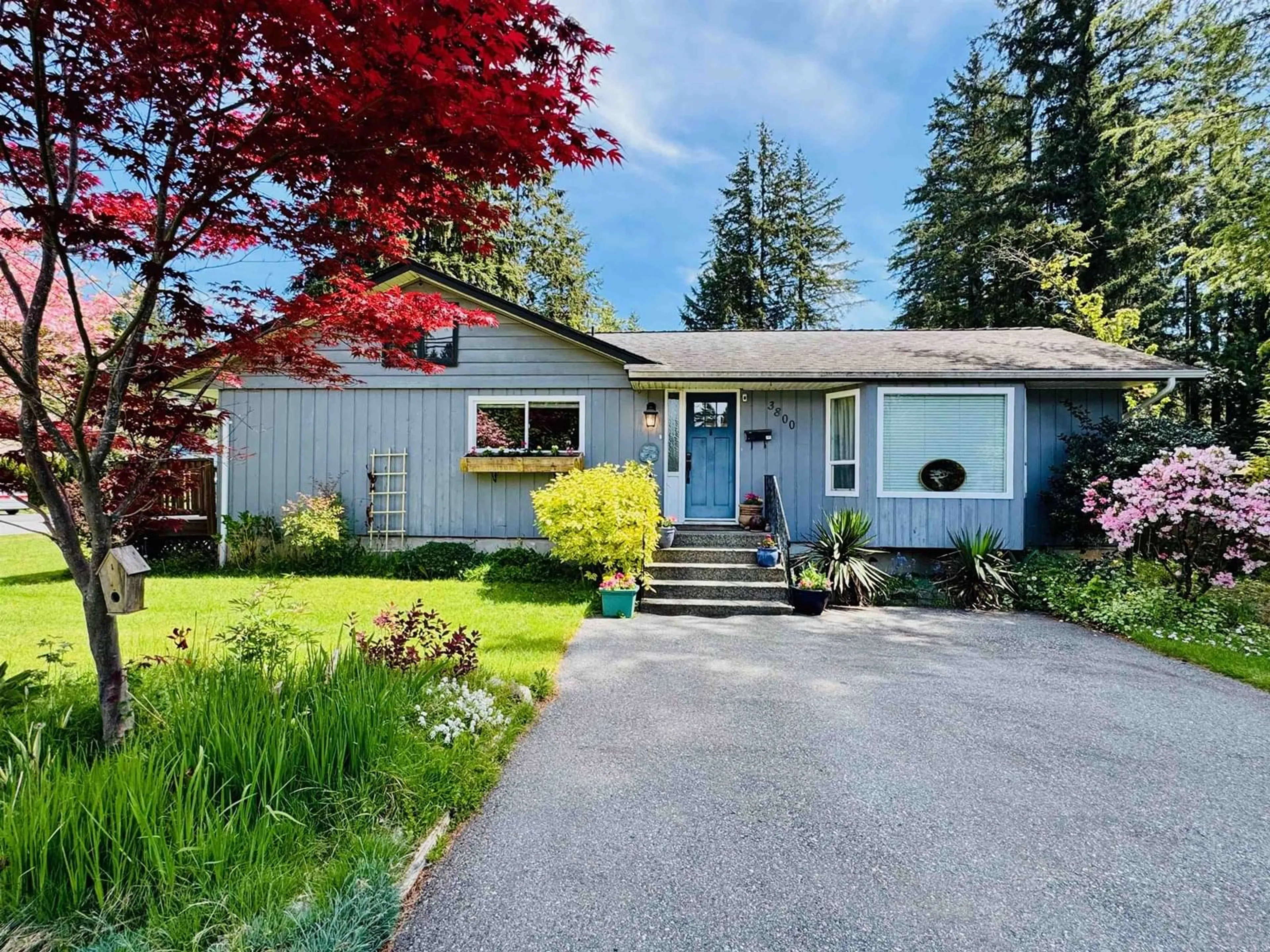 Home with vinyl exterior material, street for 3800 204, Langley British Columbia V3A1X4