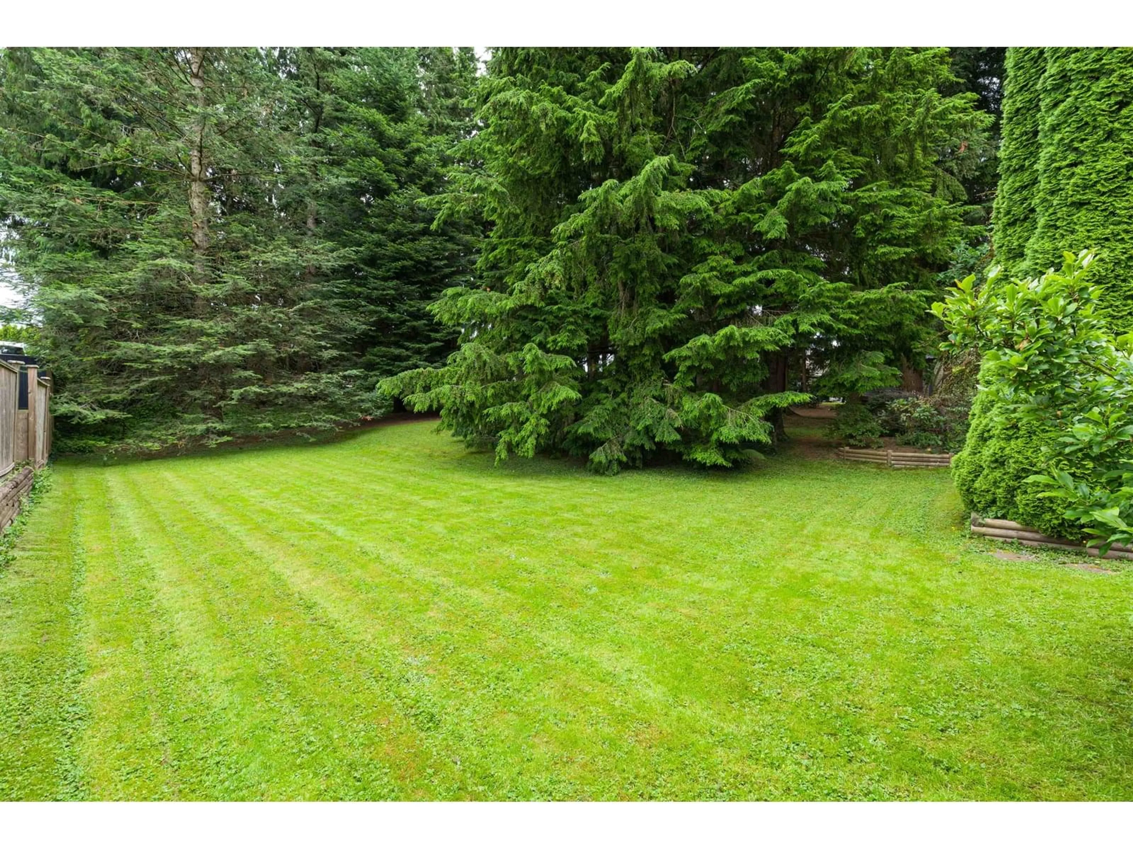 A pic from outside/outdoor area/front of a property/back of a property/a pic from drone, forest/trees view for 2161 MARTENS, Abbotsford British Columbia V2T6M6