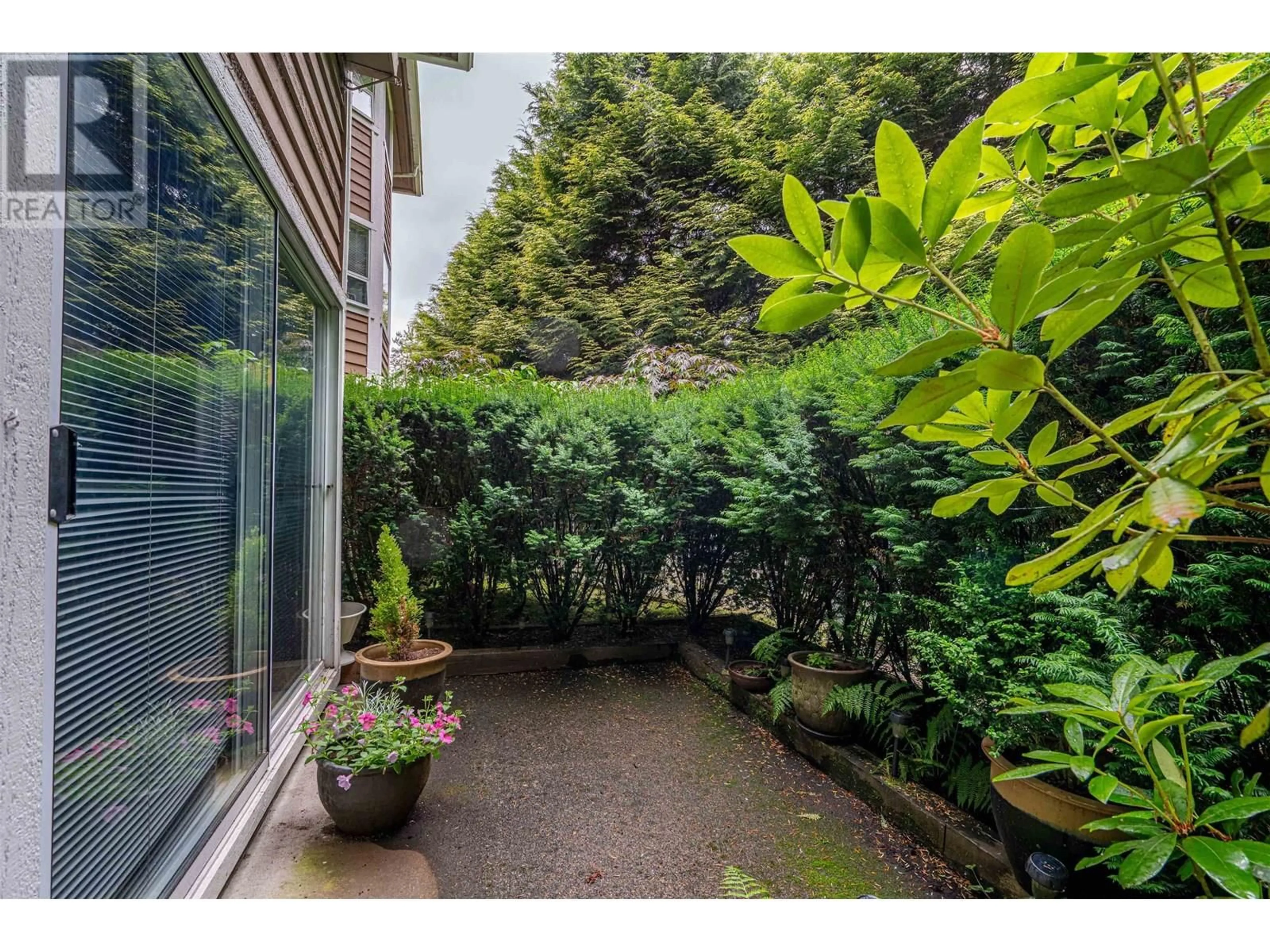 Patio, forest/trees view for 44 - 9000 ASH GROVE CRESCENT, Burnaby British Columbia V5A4M3