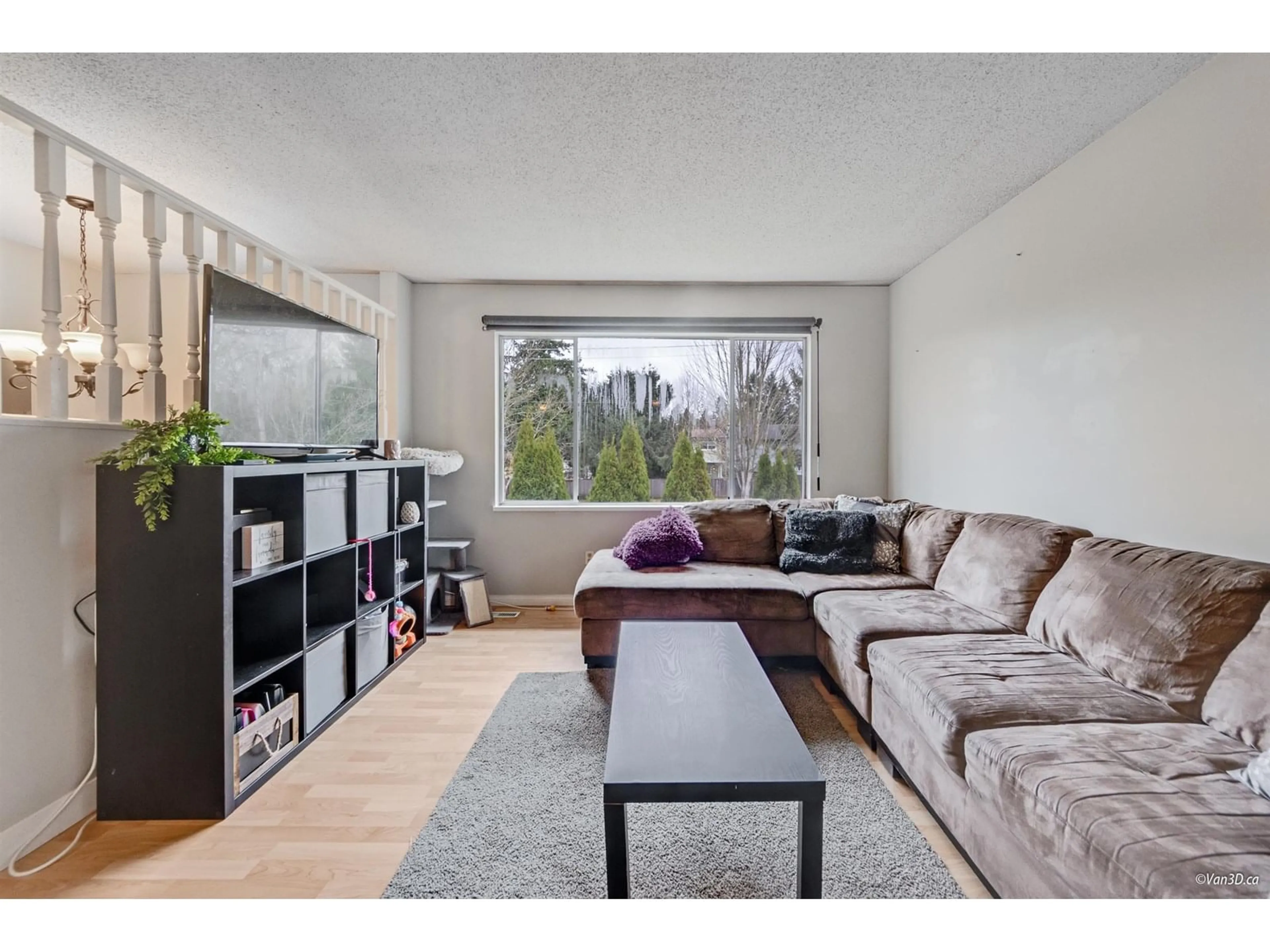 Living room with furniture, wood/laminate floor for 5009 208, Langley British Columbia V3A7A2