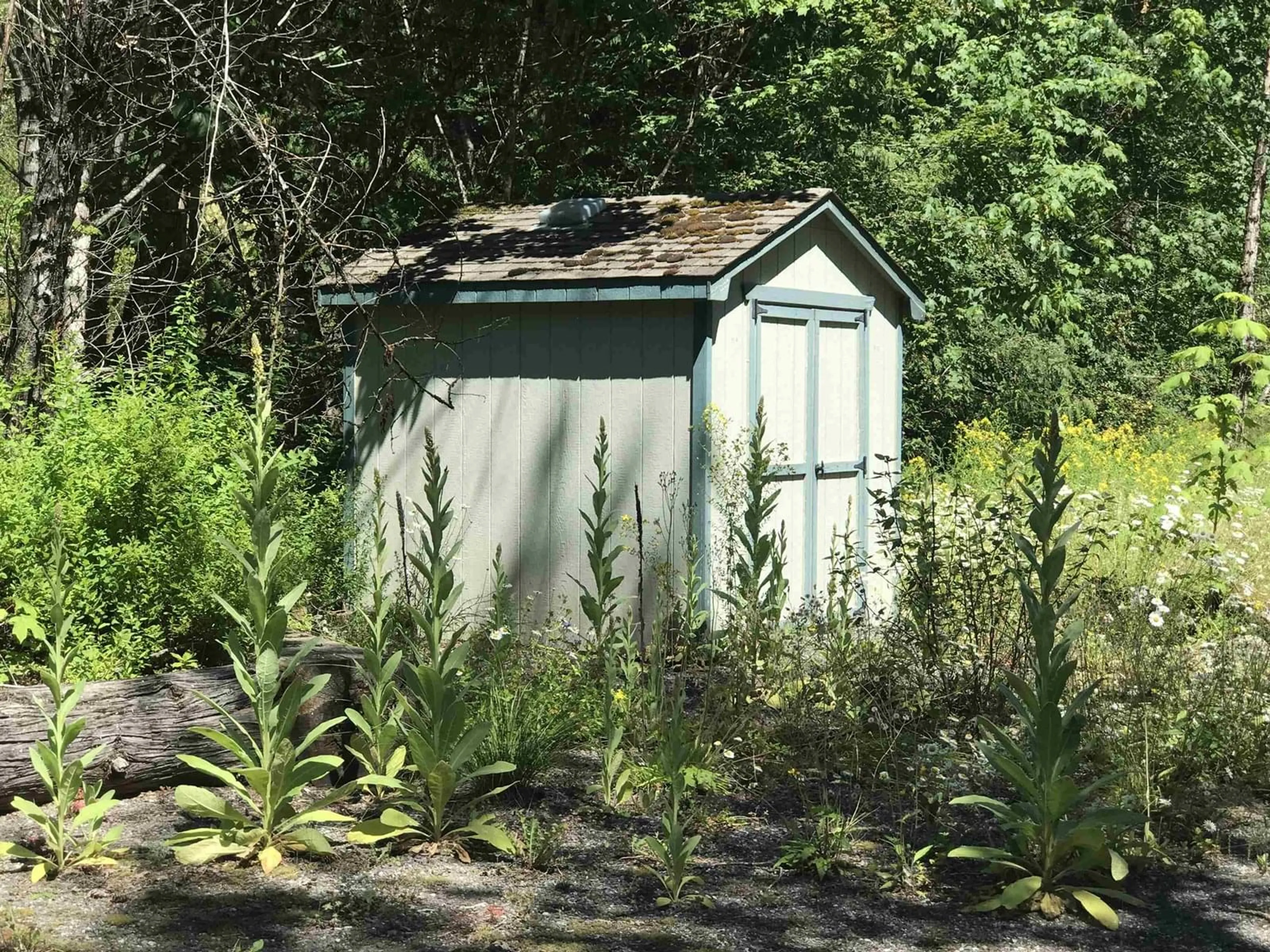 Shed for 68451 OTHELLO ROAD, Hope British Columbia V0X1L1