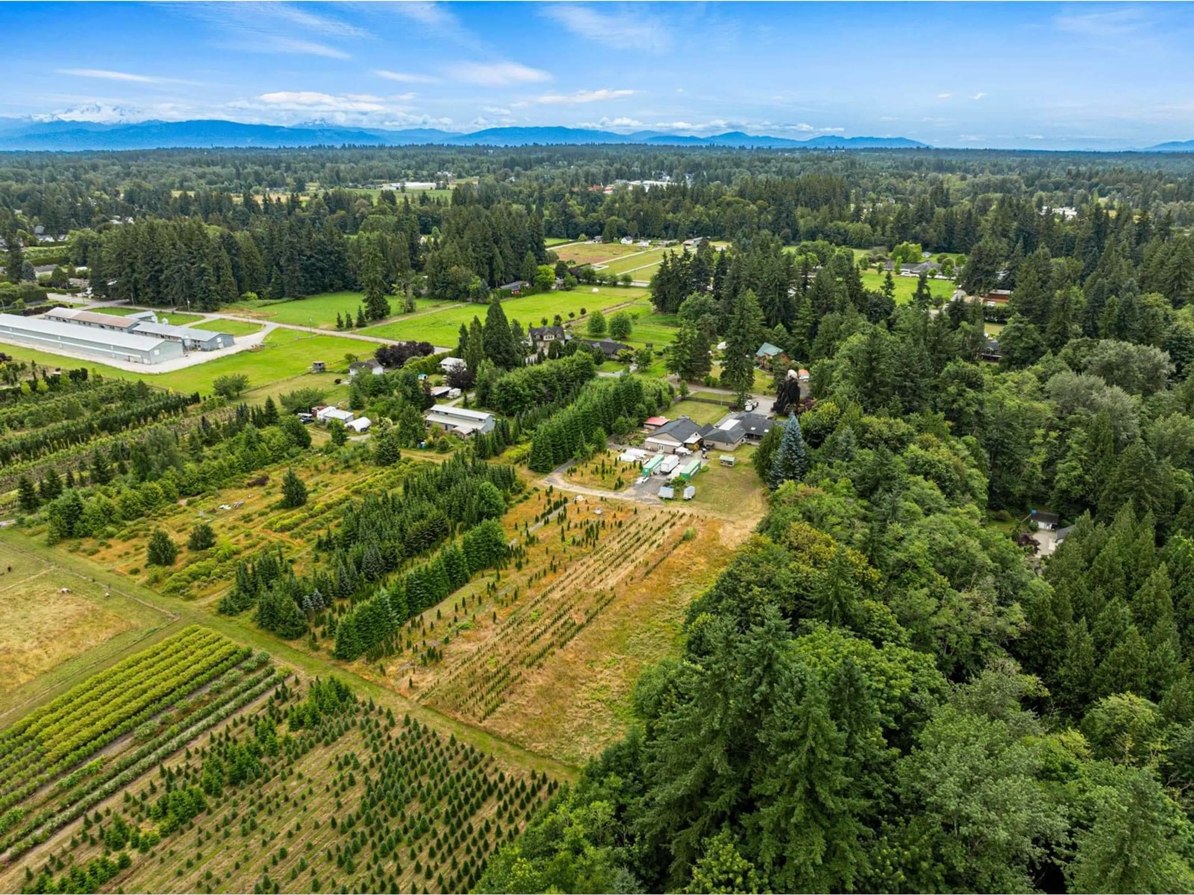 A pic from outside/outdoor area/front of a property/back of a property/a pic from drone, forest/trees view for 23363 48, Langley British Columbia V2Z2S5