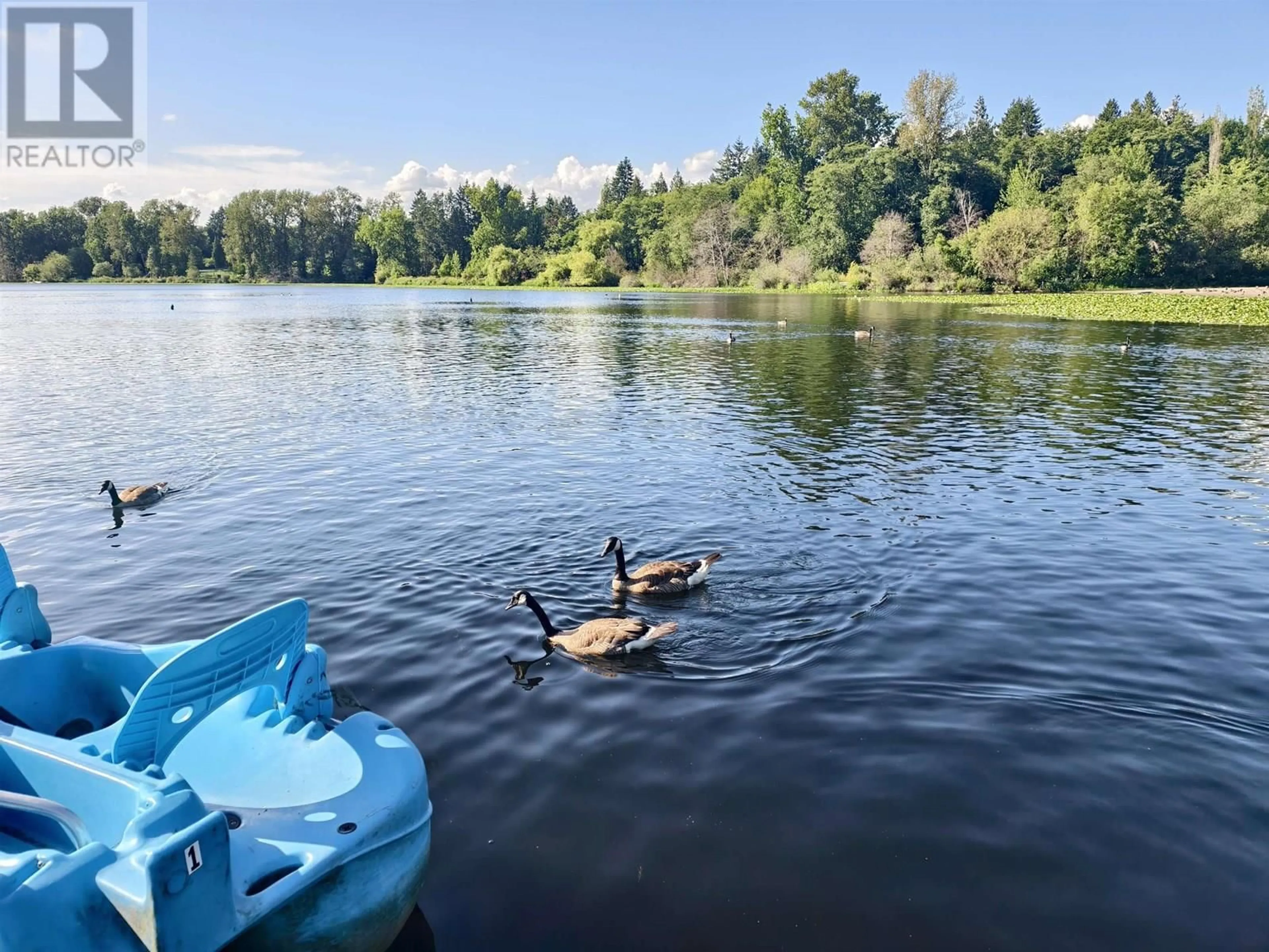 Blurry image for 6297 BRANTFORD AVENUE, Burnaby British Columbia V5E2R8
