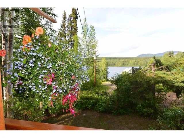38597 FORESTRY POINT ROAD, Smithers 5