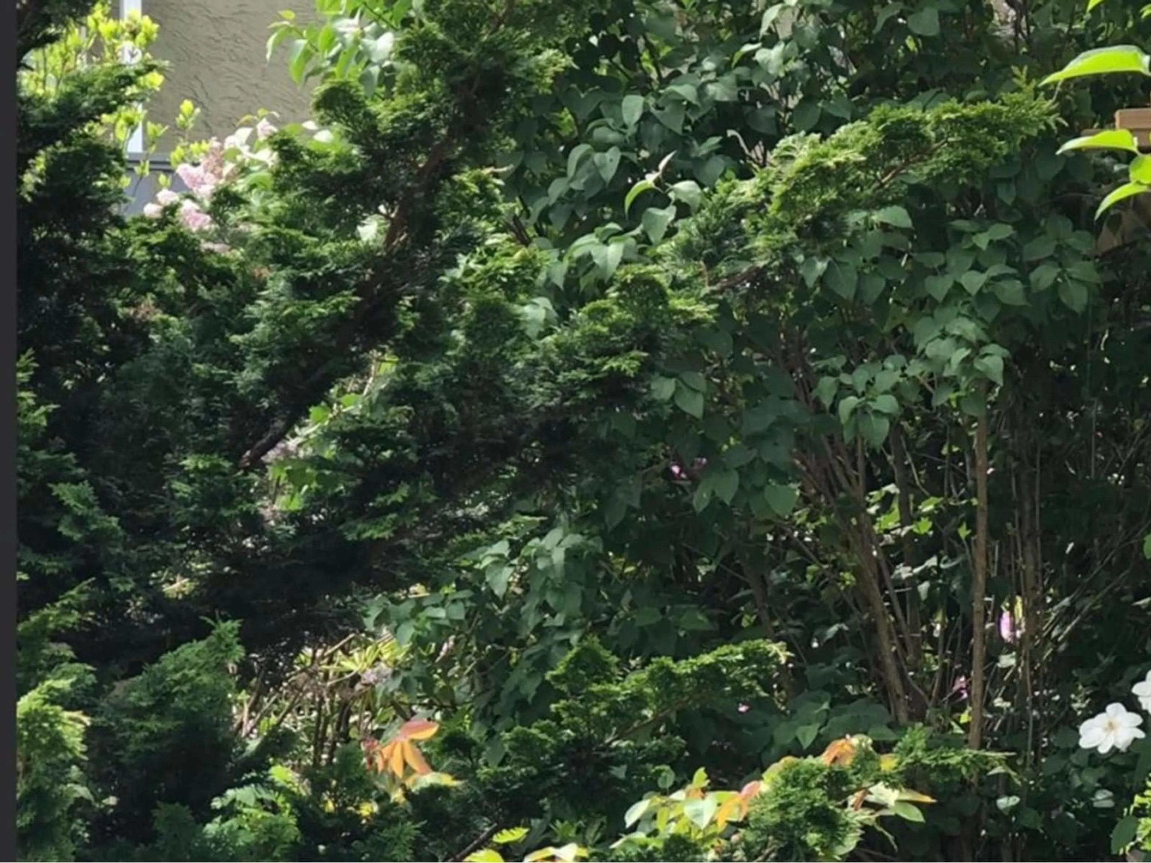 Unknown for 604 LAKBERG CRESCENT, Harrison Hot Springs British Columbia V0M1K0