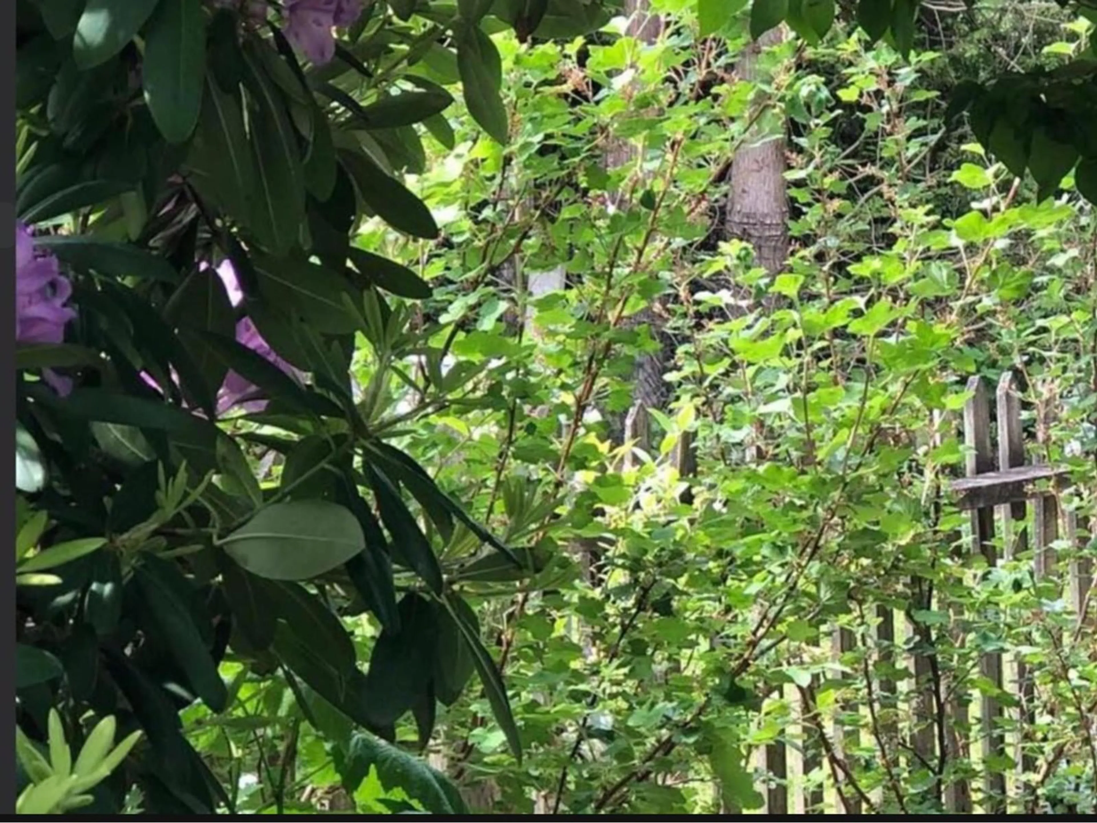 Blurry image for 604 LAKBERG CRESCENT, Harrison Hot Springs British Columbia V0M1K0