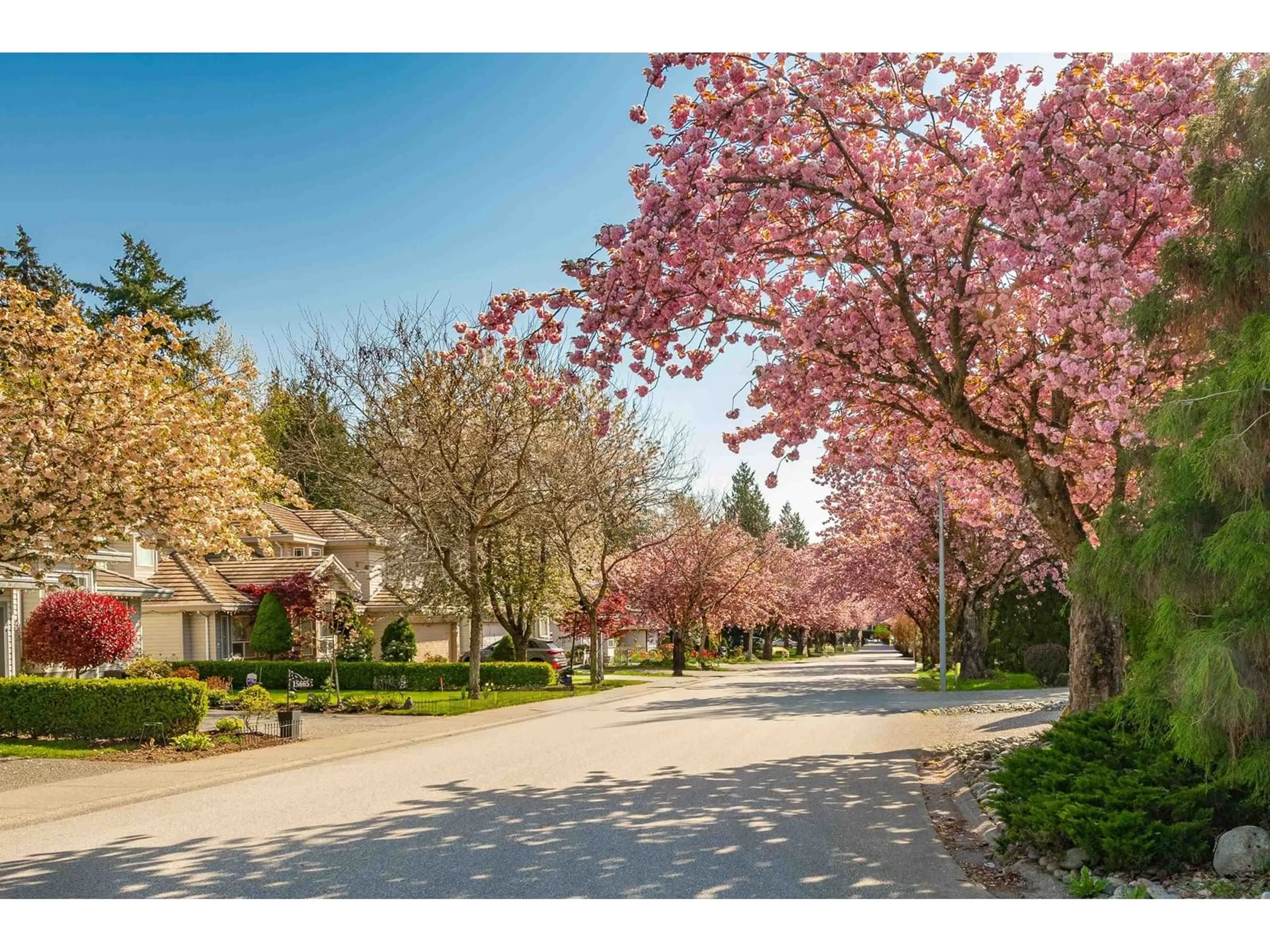 Patio, street for 10234 156A, Surrey British Columbia V4N2H2