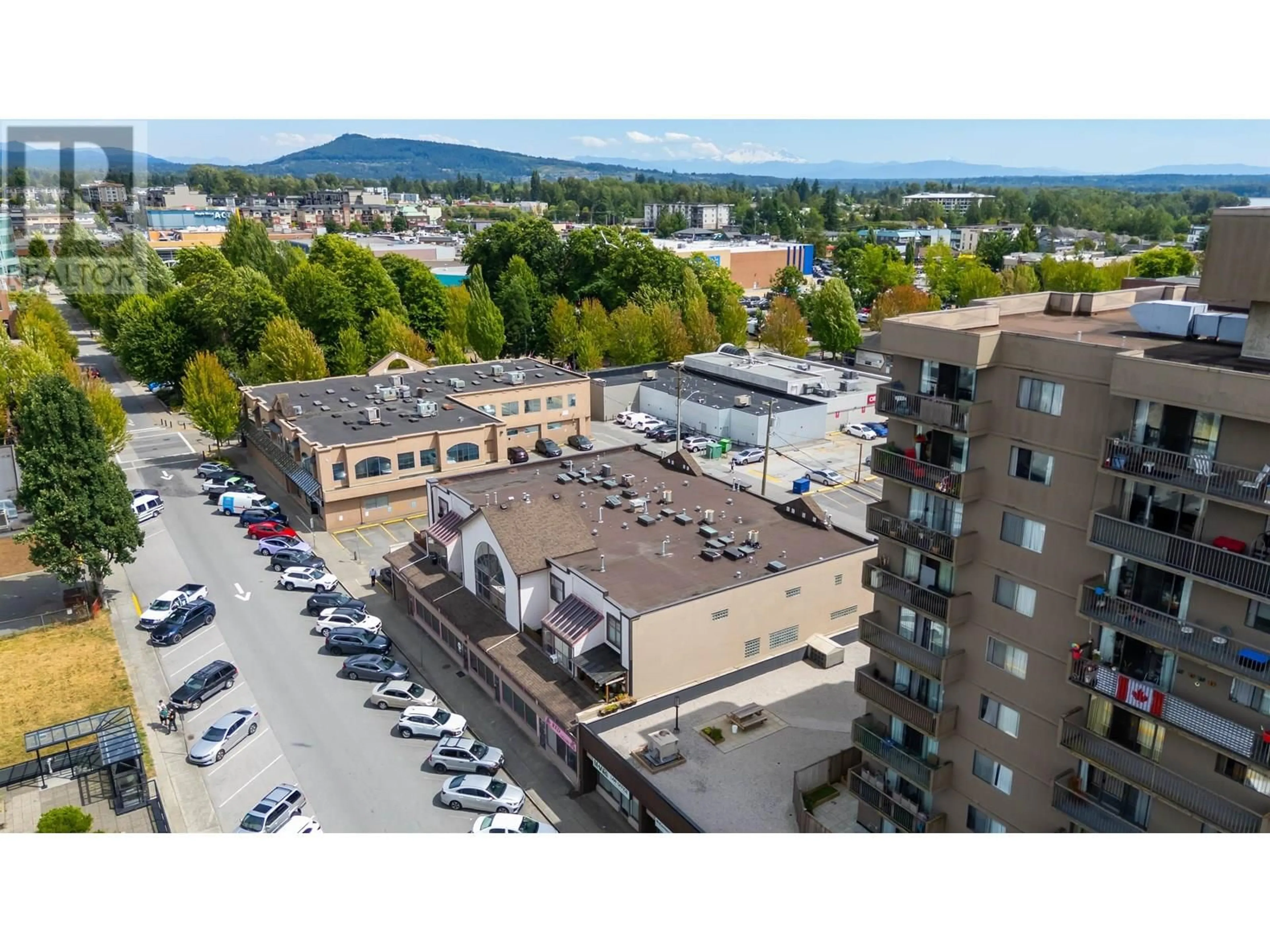 A pic from outside/outdoor area/front of a property/back of a property/a pic from drone, mountain view for 209 - 22356 MCINTOSH AVENUE, Maple Ridge British Columbia V2X3C1
