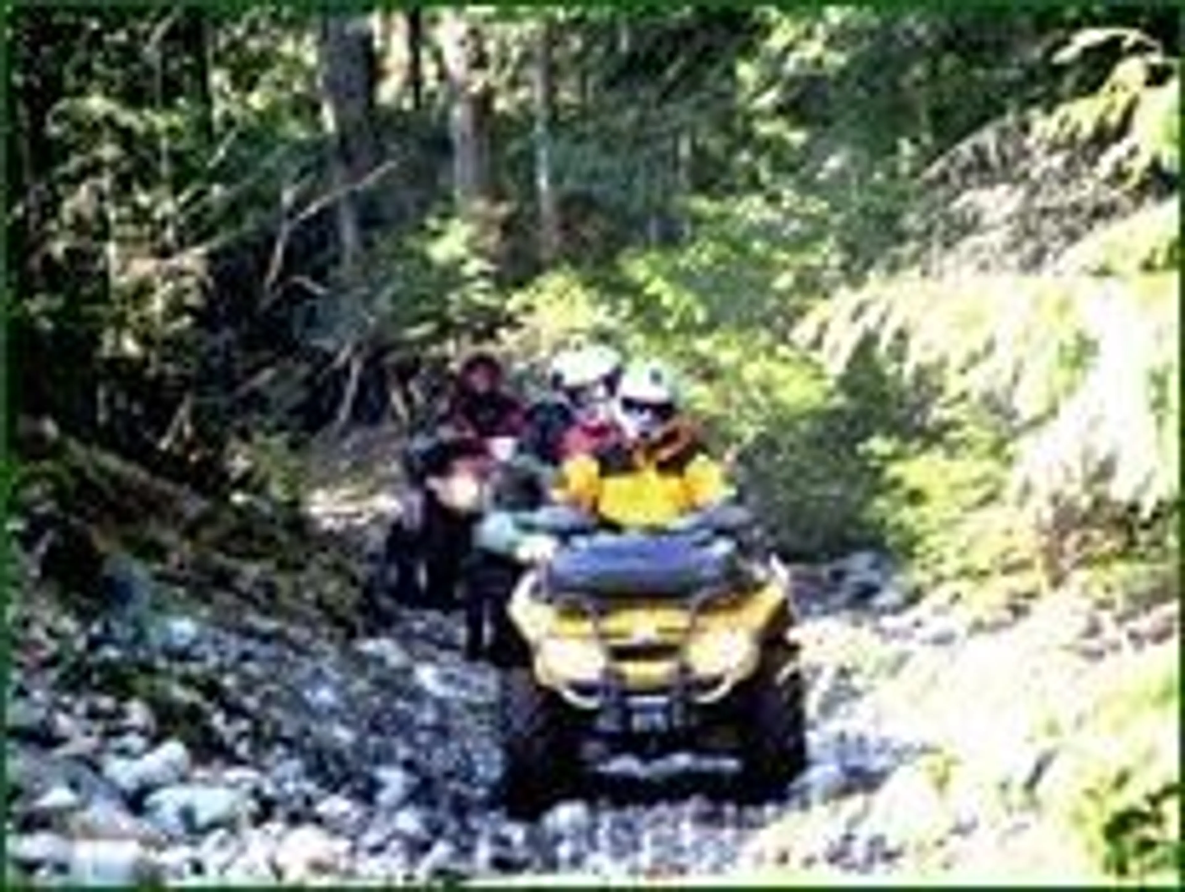 Blurry image for 1 - 20649 EDELWEISS, Agassiz British Columbia V0M1A1