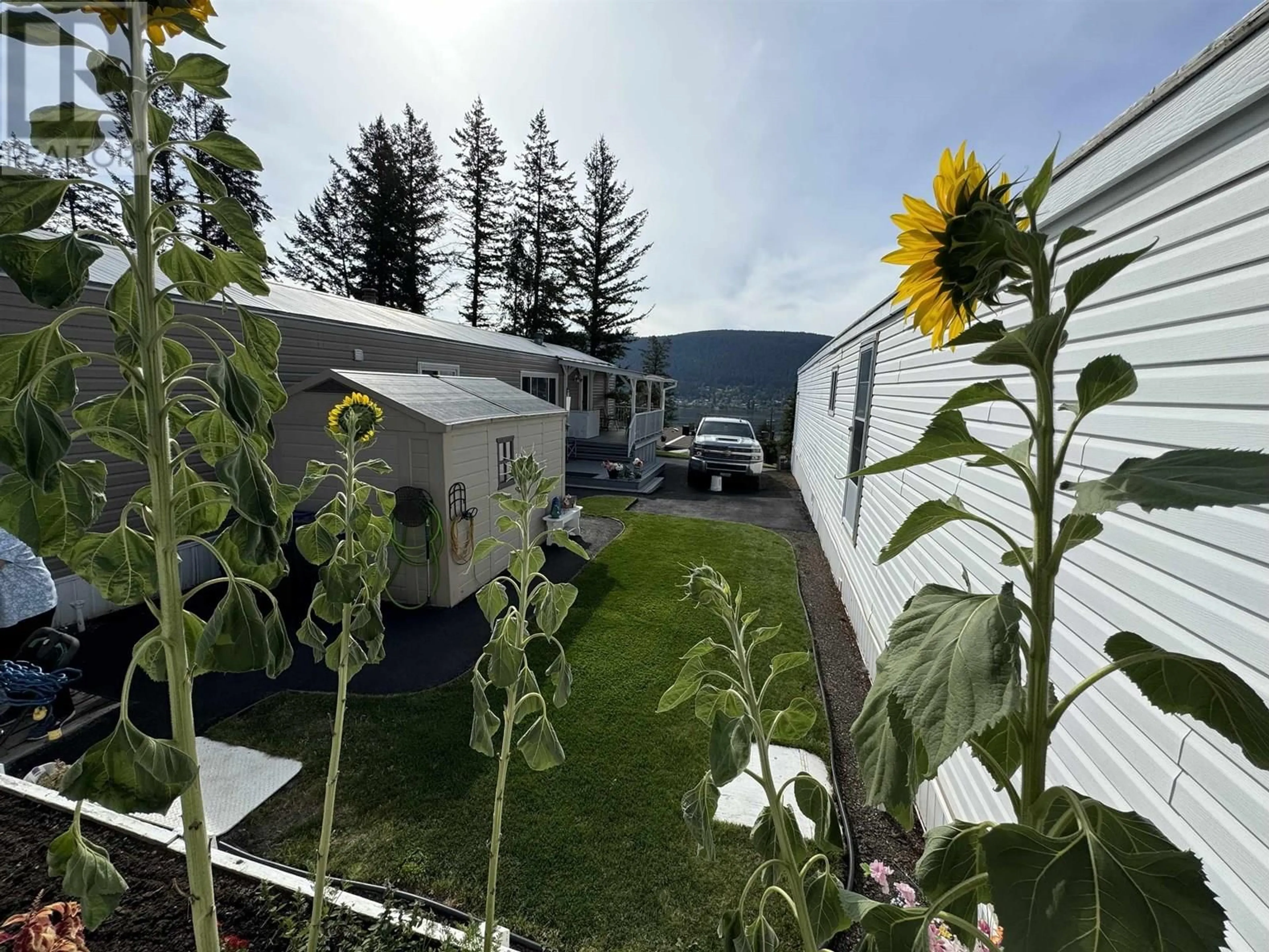 A pic from outside/outdoor area/front of a property/back of a property/a pic from drone, mountain view for 1700 BROADWAY AVENUE, Williams Lake British Columbia V2G2W5