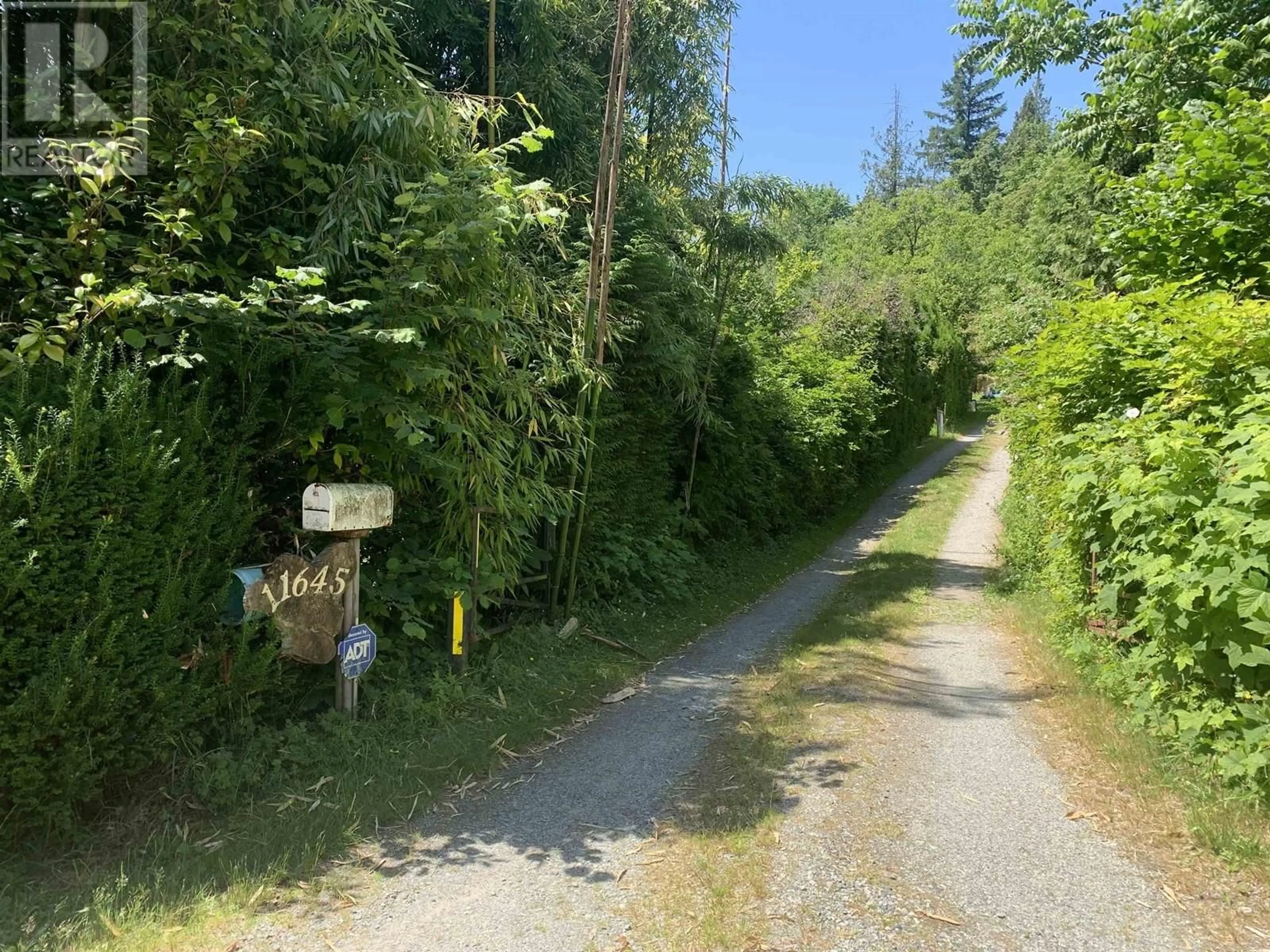 A pic from outside/outdoor area/front of a property/back of a property/a pic from drone, forest/trees view for 11645 248 STREET, Maple Ridge British Columbia V4R1H6