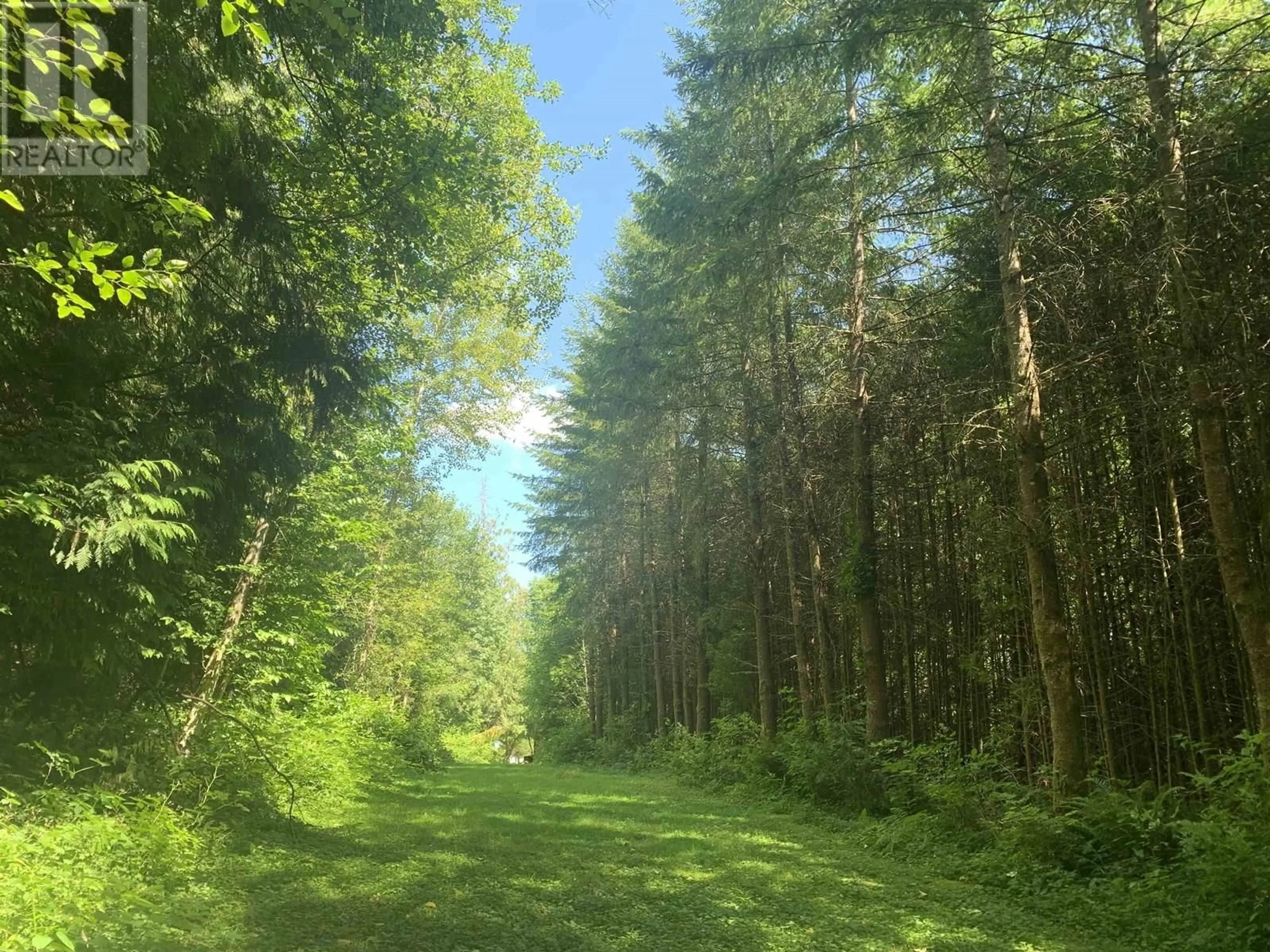 A pic from outside/outdoor area/front of a property/back of a property/a pic from drone, forest/trees view for 11645 248 STREET, Maple Ridge British Columbia V4R1H6
