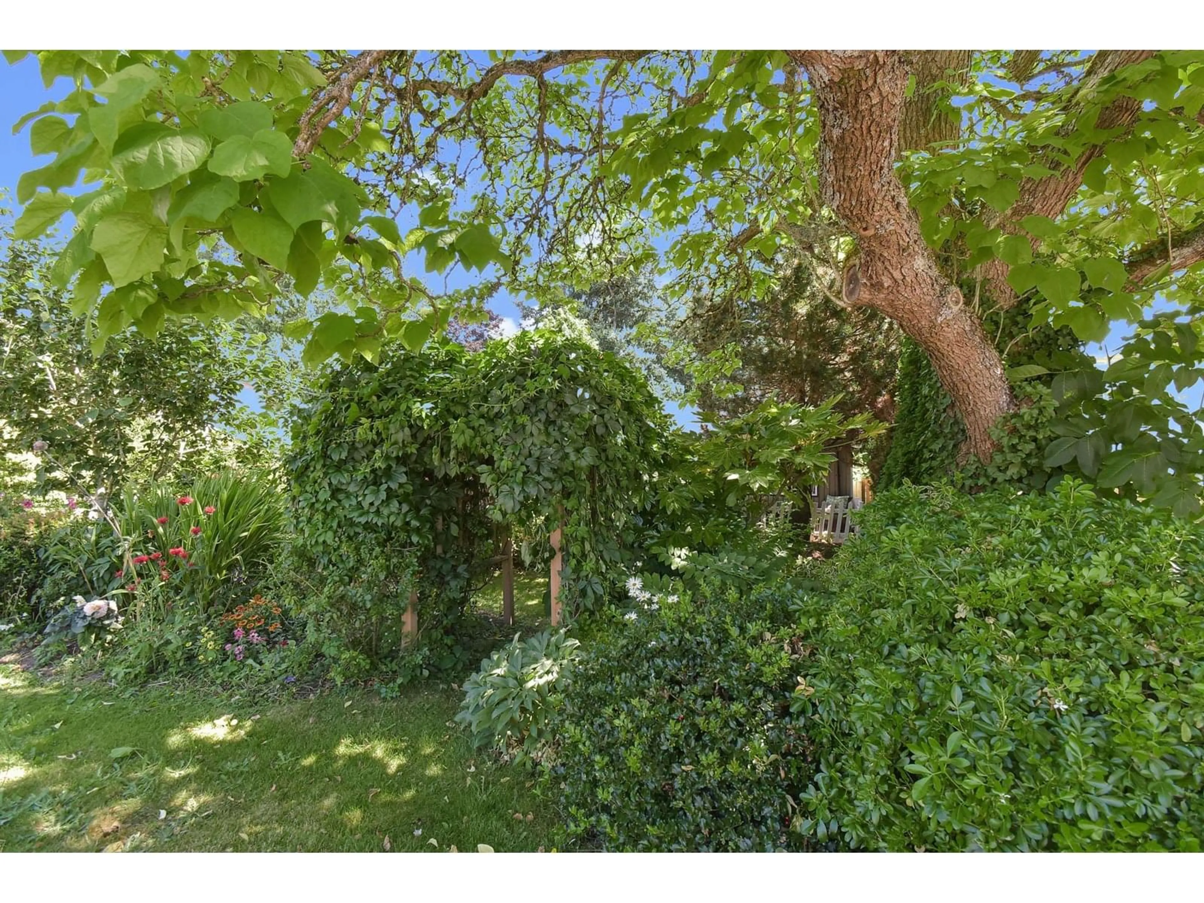 A pic from outside/outdoor area/front of a property/back of a property/a pic from drone, forest/trees view for 1510 STEVENS, White Rock British Columbia V4B4Y5