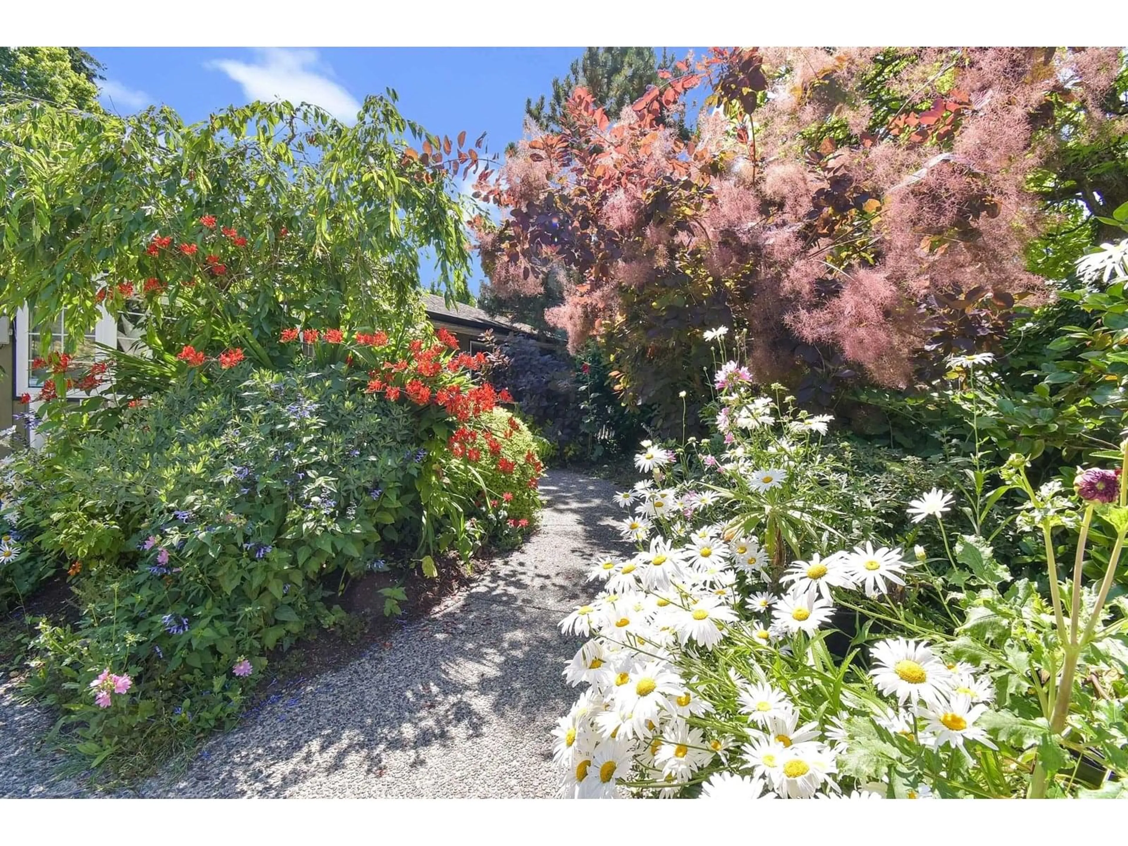 A pic from outside/outdoor area/front of a property/back of a property/a pic from drone, street for 1510 STEVENS, White Rock British Columbia V4B4Y5