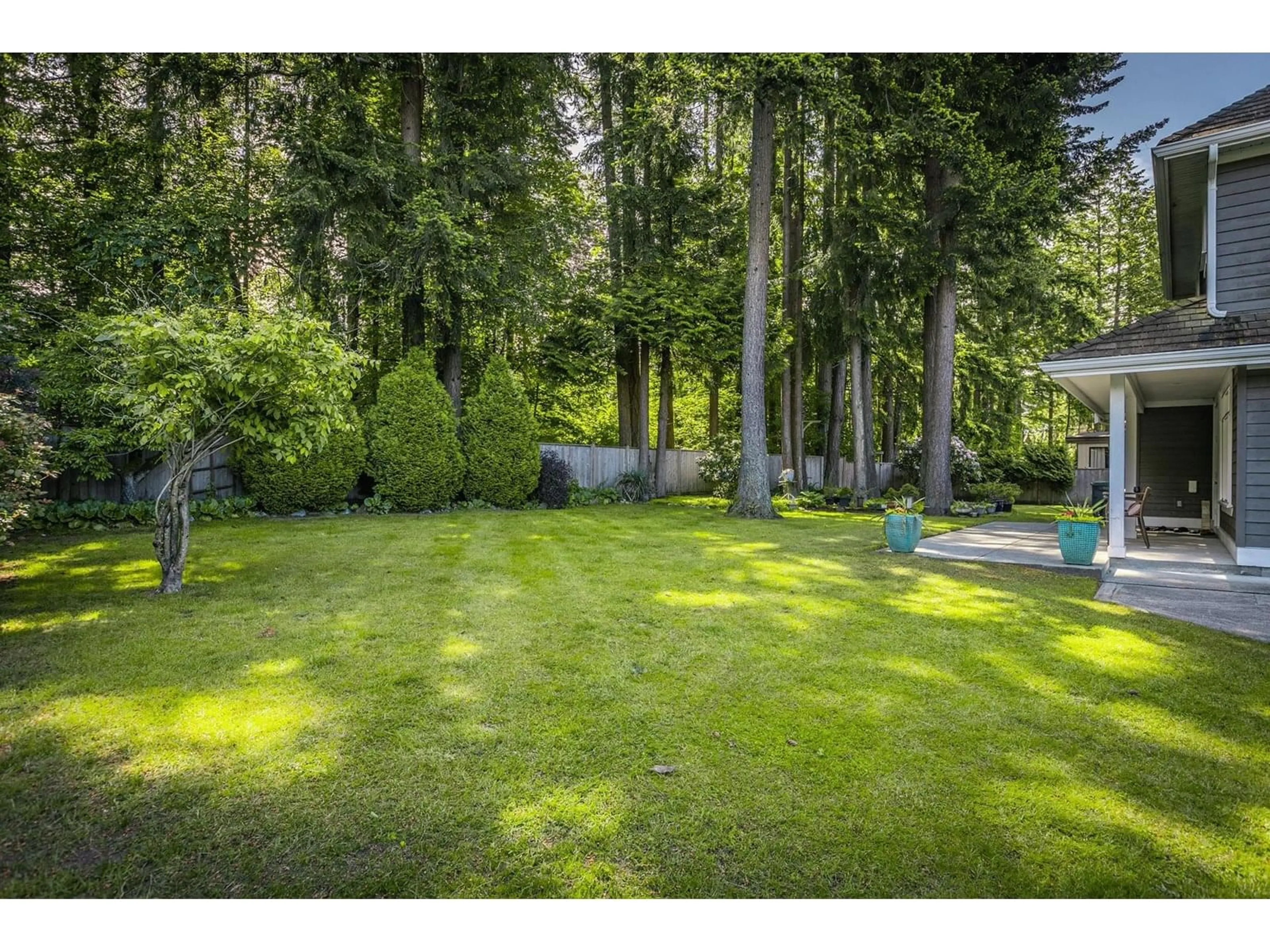 A pic from outside/outdoor area/front of a property/back of a property/a pic from drone, forest/trees view for 2020 134, Surrey British Columbia V4A9N8