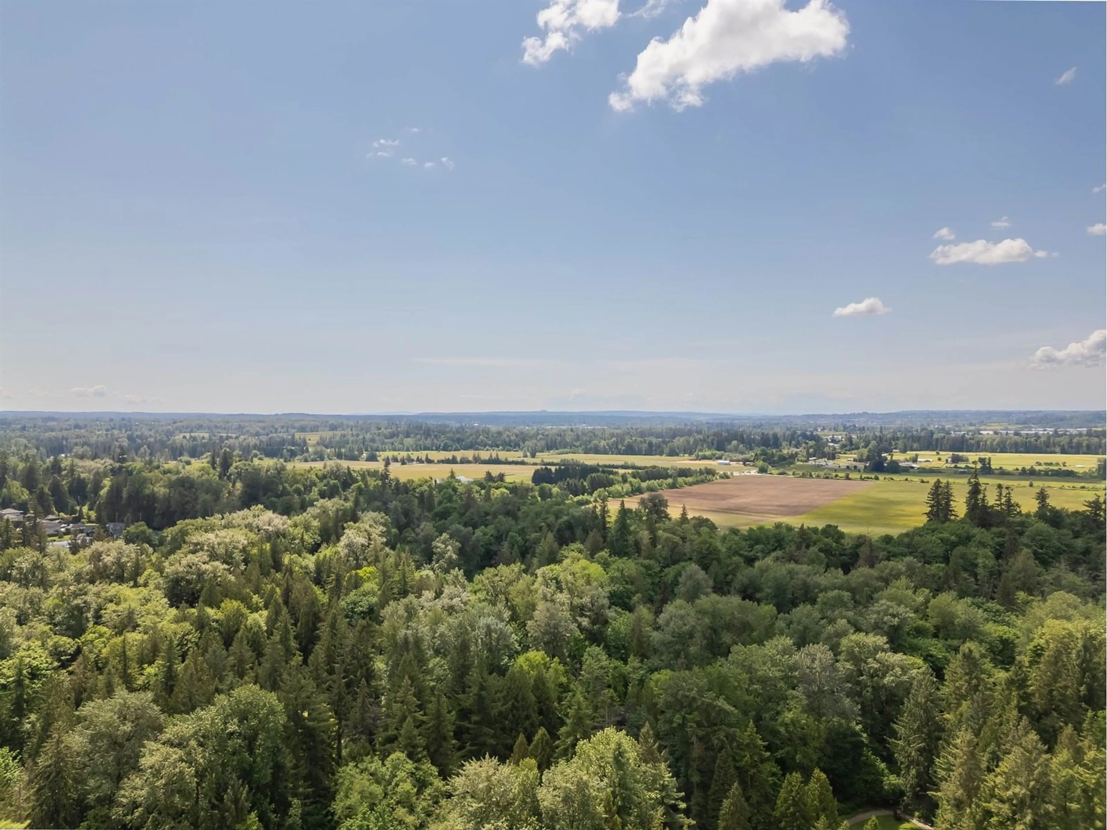 A pic from outside/outdoor area/front of a property/back of a property/a pic from drone, forest/trees view for 6587 238, Langley British Columbia V2Y2H5