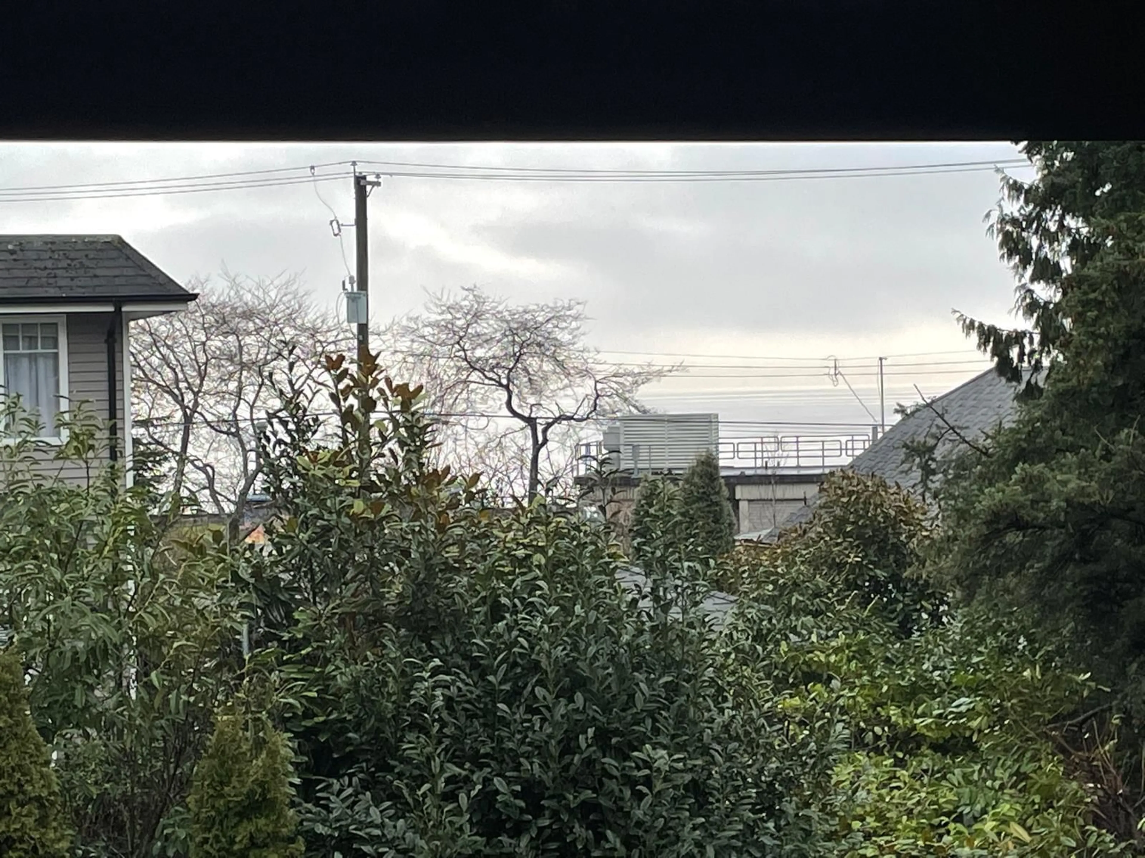 A pic from outside/outdoor area/front of a property/back of a property/a pic from drone, forest/trees view for 14784 GORDON, White Rock British Columbia V4B2A7