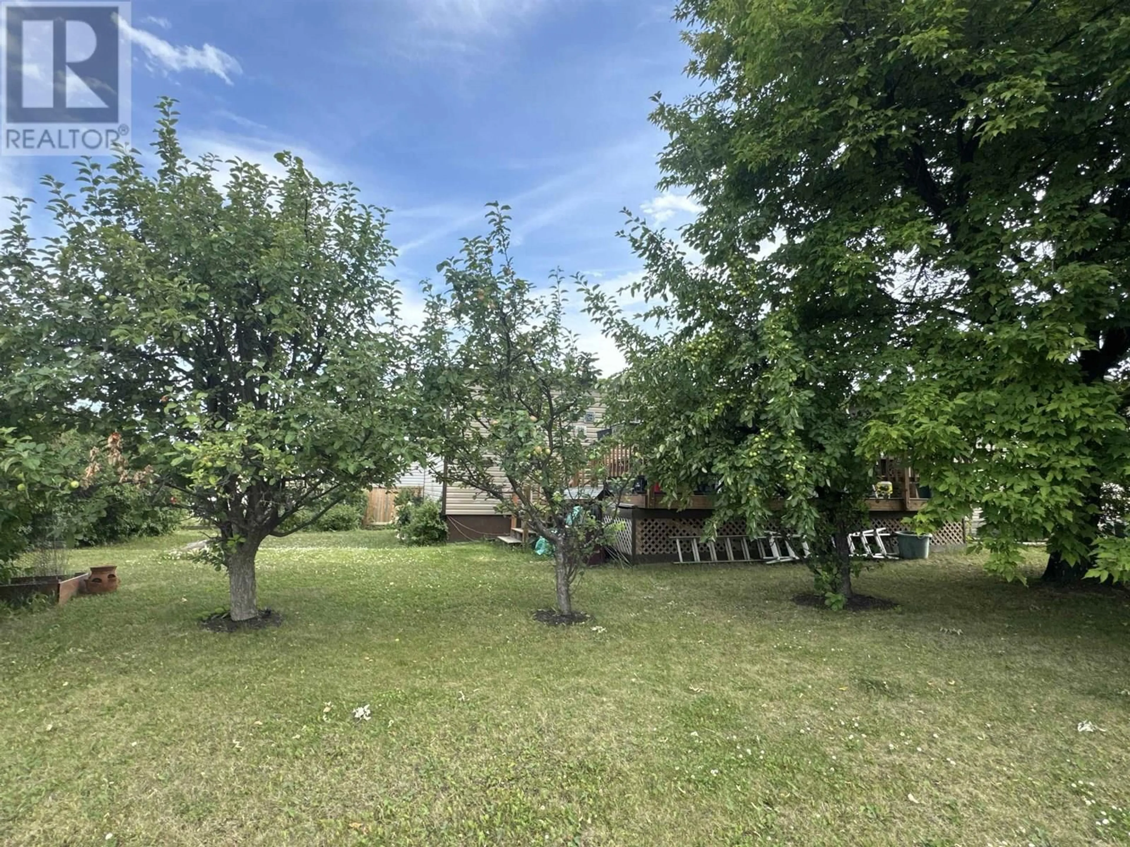 A pic from outside/outdoor area/front of a property/back of a property/a pic from drone, forest/trees view for 10608 101 STREET, Taylor British Columbia V0C2K0