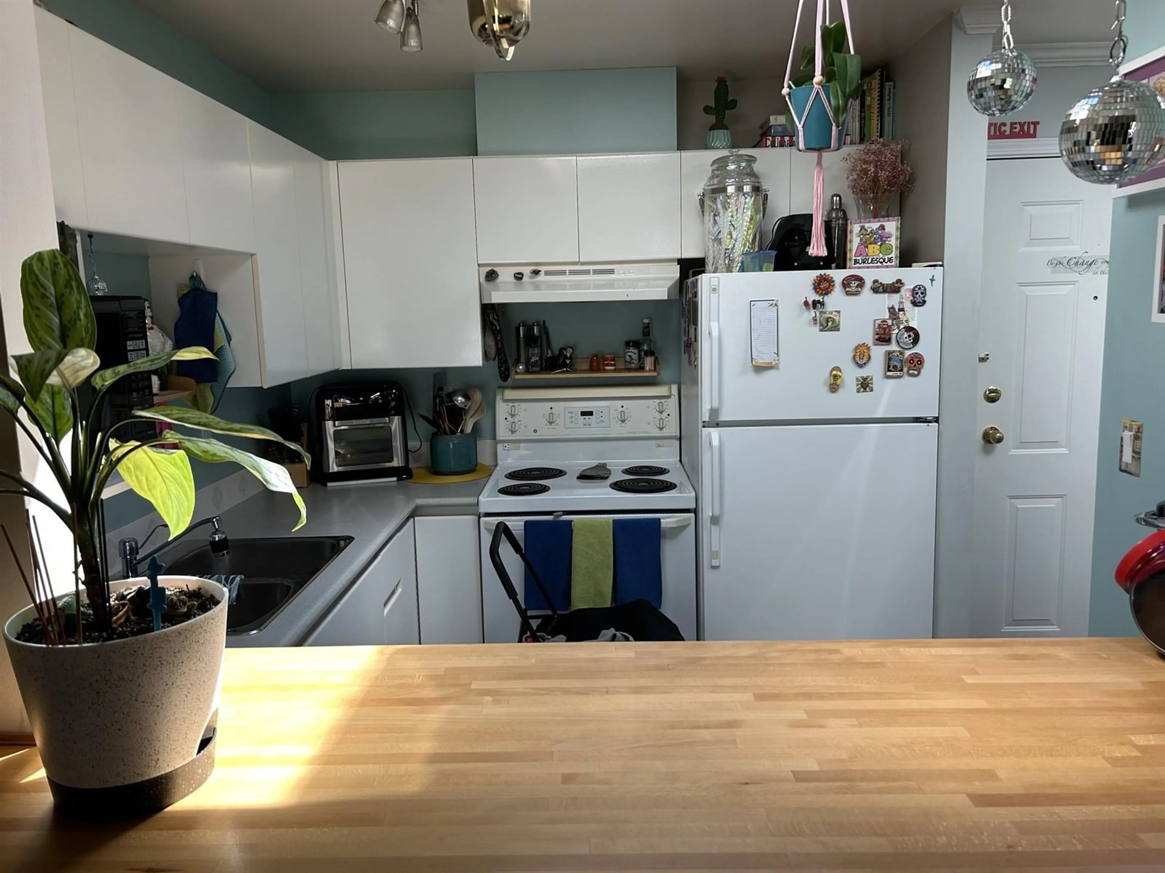 Standard kitchen, wood/laminate floor for 304 - 10665 139, Surrey British Columbia V3T4L8