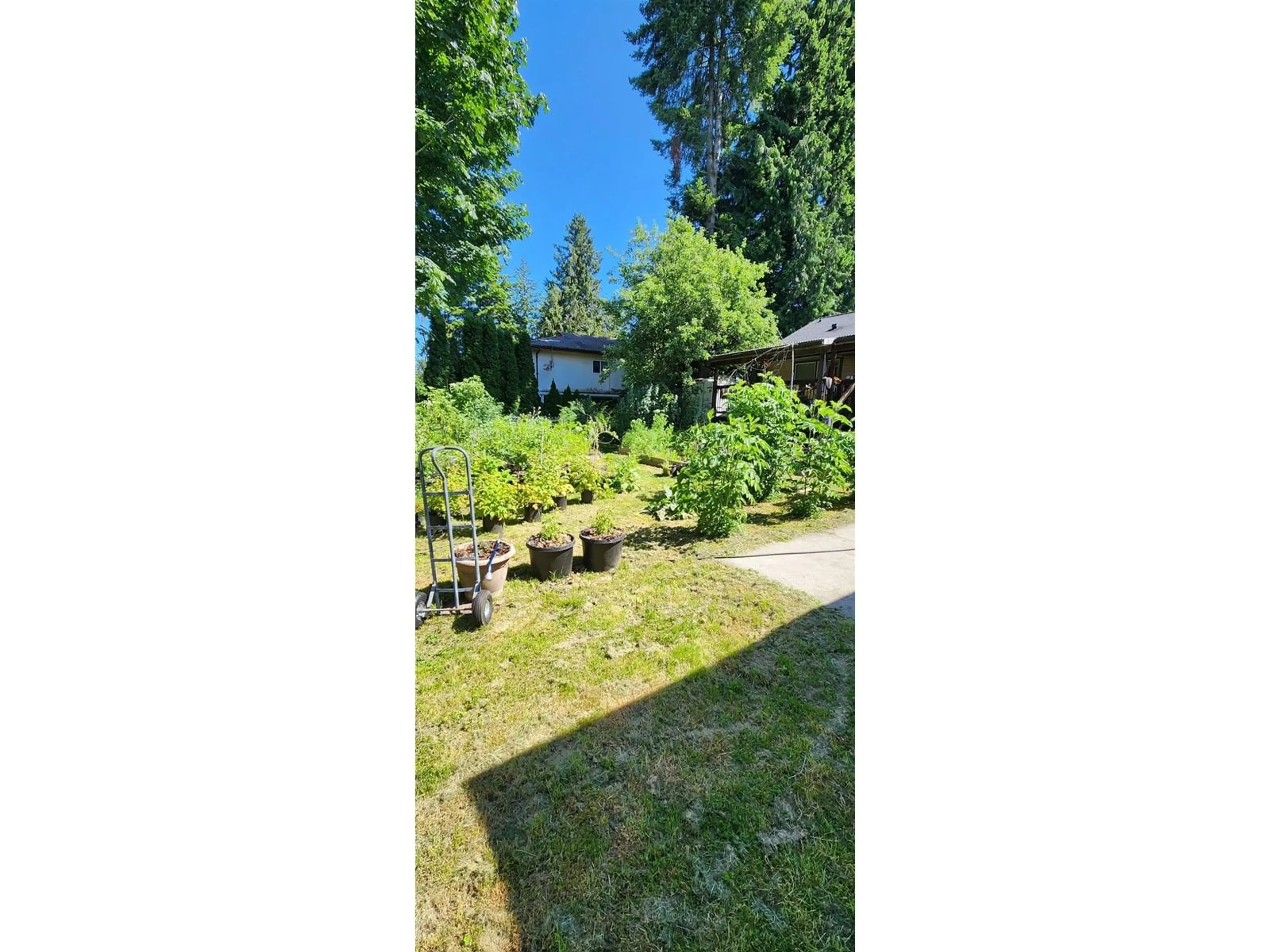 A pic from outside/outdoor area/front of a property/back of a property/a pic from drone, forest/trees view for 8631 BROOKE, Delta British Columbia V4C4G2