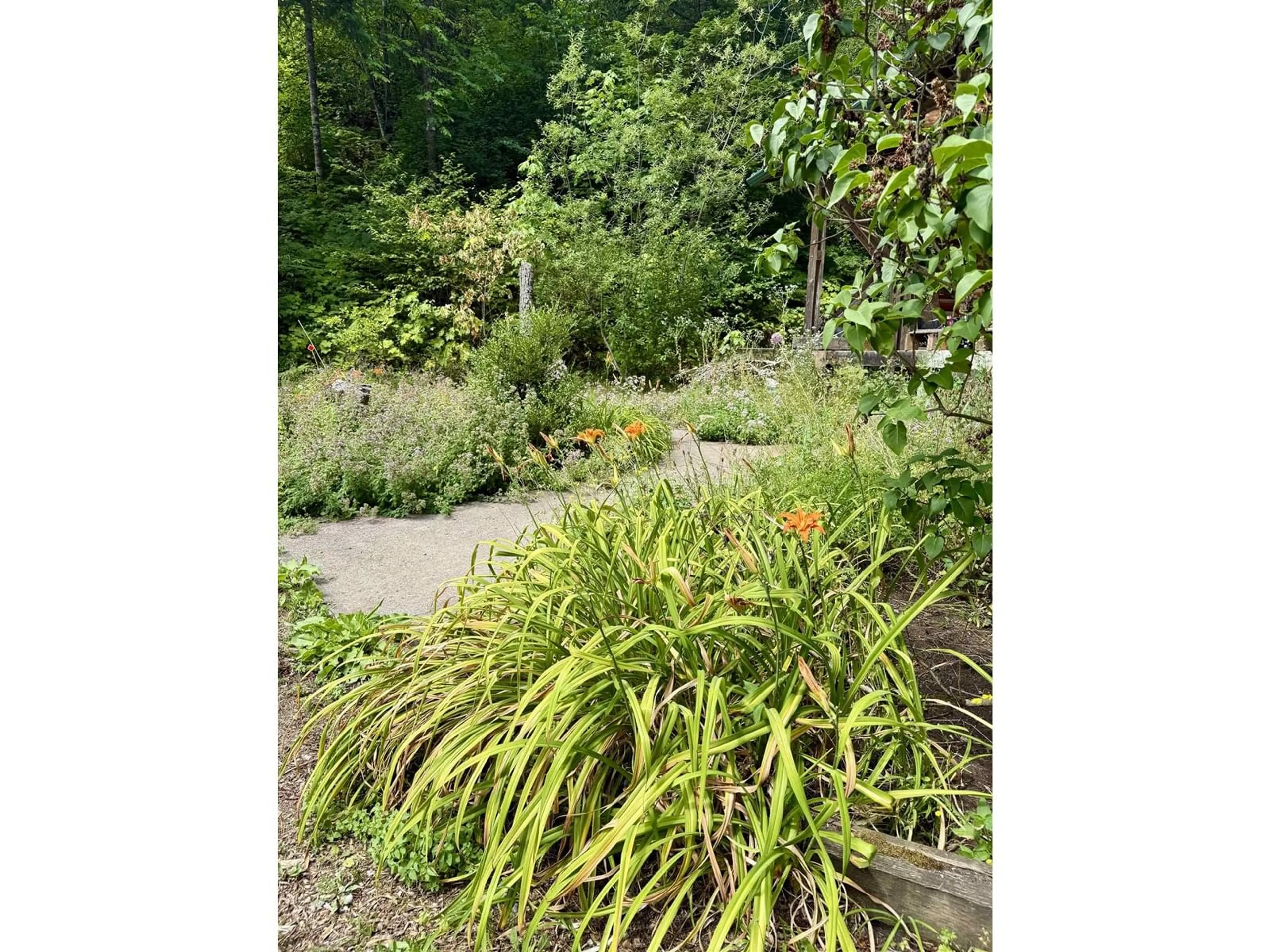 Blurry image for 21701 UNION BAR ROAD, Hope British Columbia V0X1L1