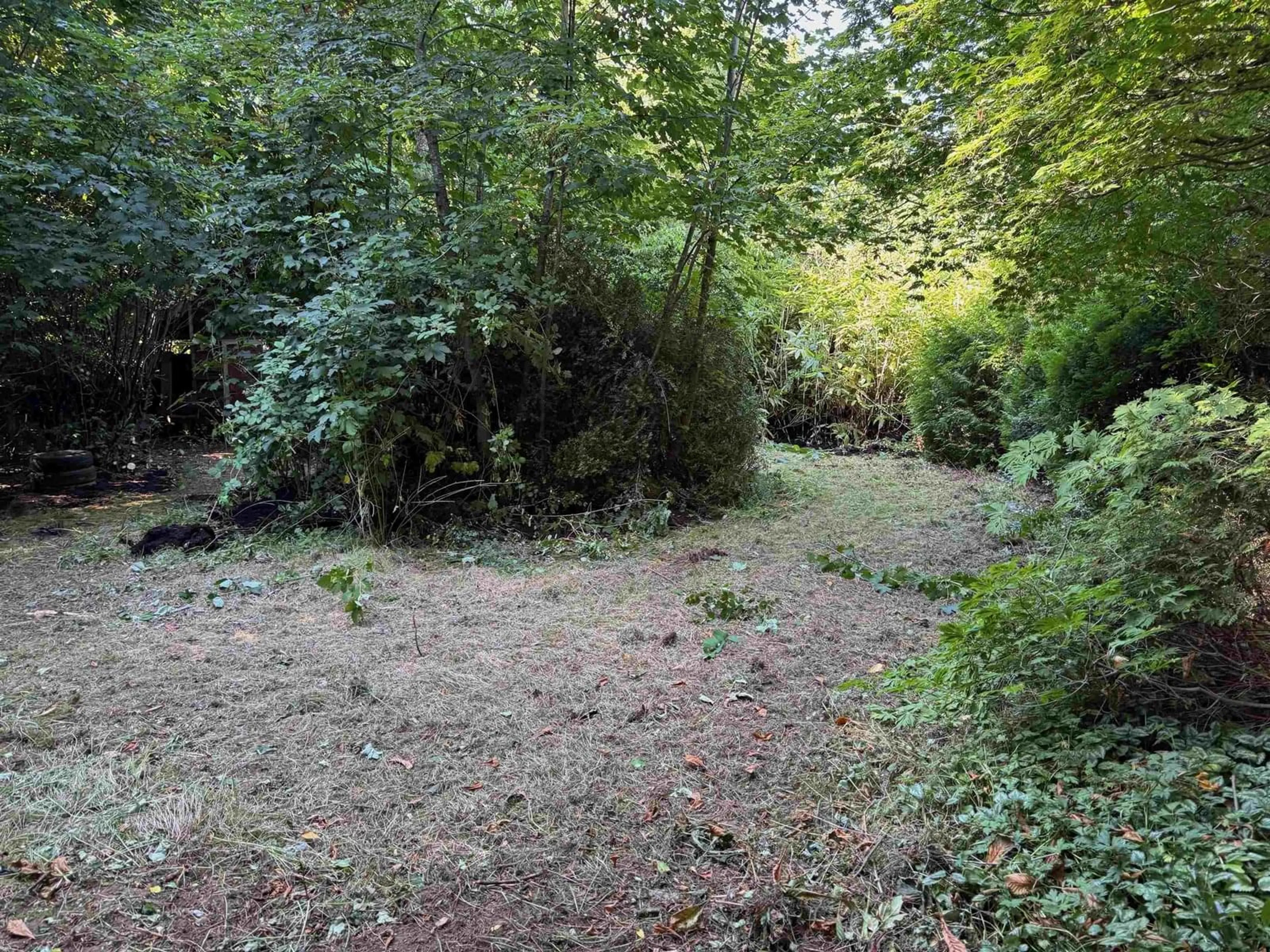 A pic from outside/outdoor area/front of a property/back of a property/a pic from drone, forest/trees view for 24919 57, Langley British Columbia V4W1T6