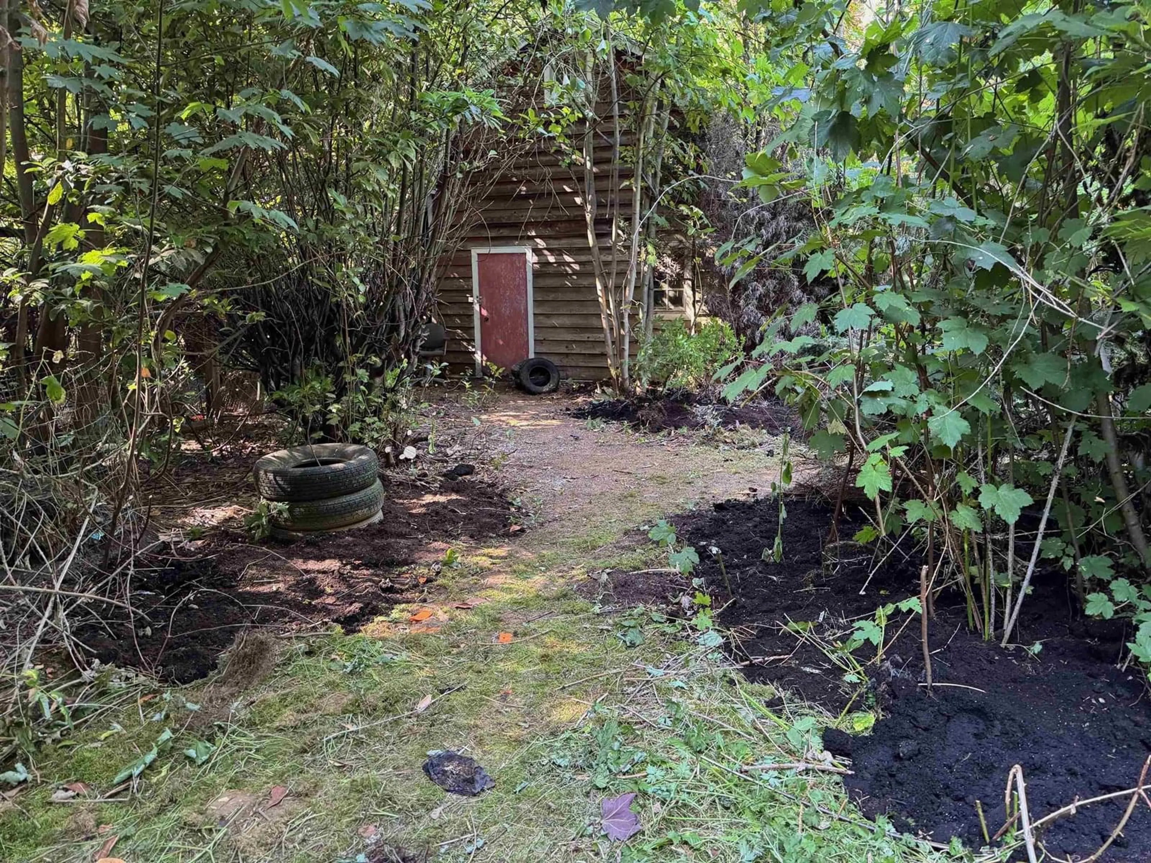 A pic from outside/outdoor area/front of a property/back of a property/a pic from drone, forest/trees view for 24919 57, Langley British Columbia V4W1T6