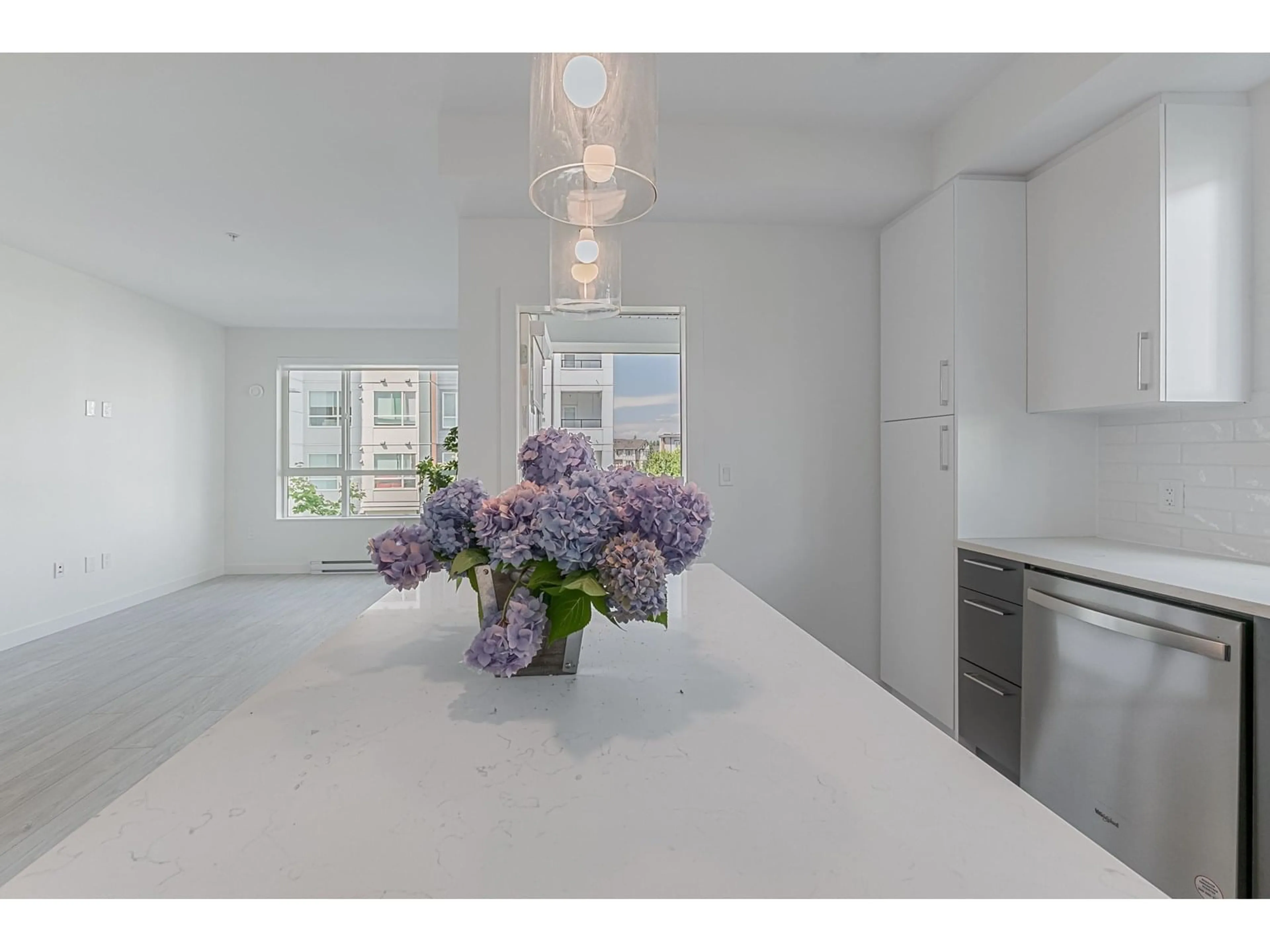 Open concept kitchen, unknown for A218 - 20834 80, Langley British Columbia V2Y3M4