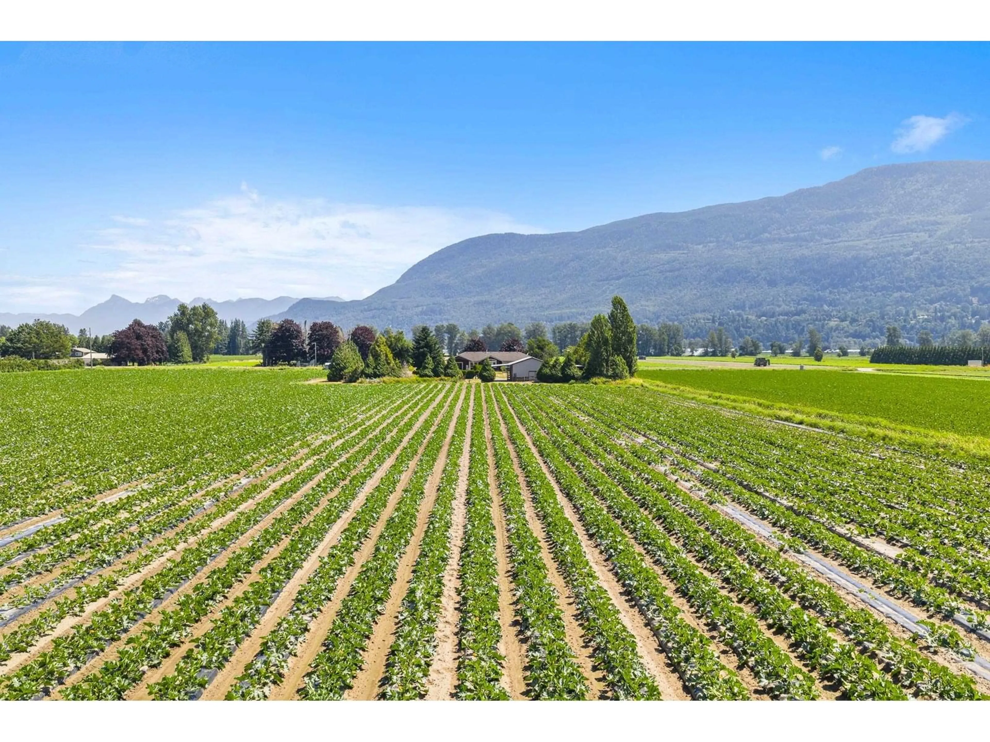 A pic from outside/outdoor area/front of a property/back of a property/a pic from drone, mountain view for 3873 TOLMIE, Abbotsford British Columbia V3G2T9