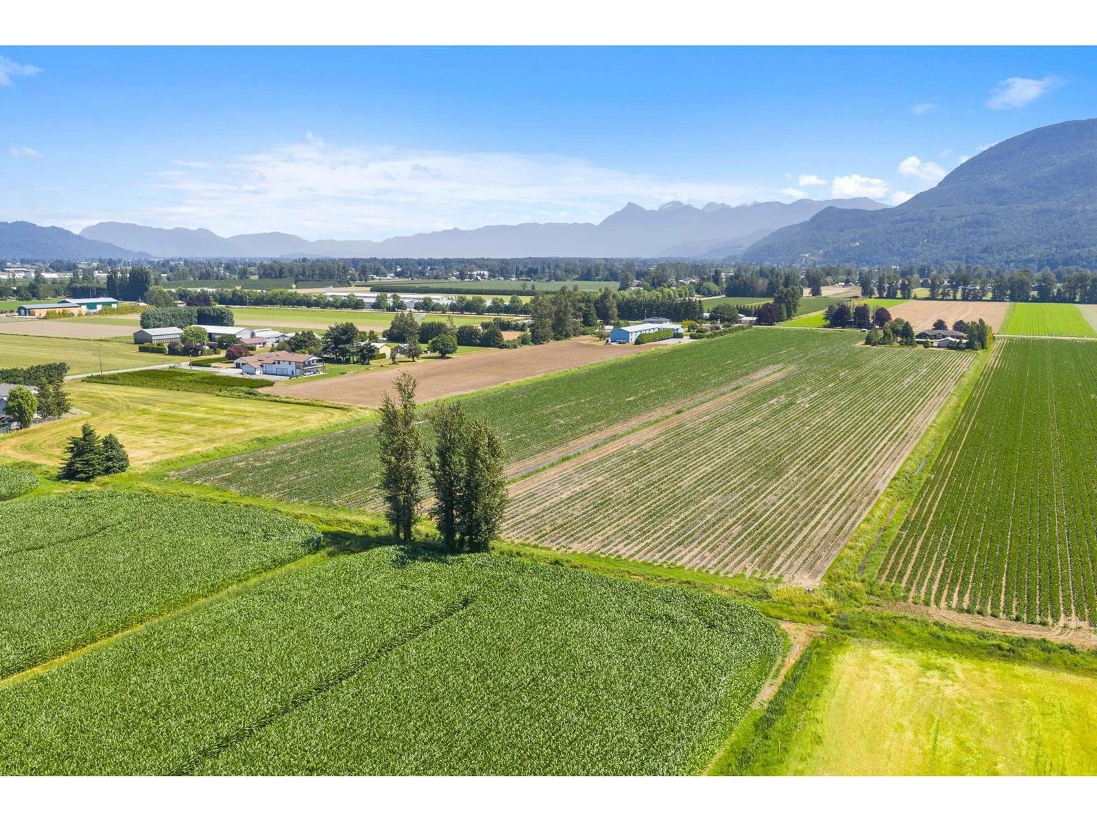 A pic from outside/outdoor area/front of a property/back of a property/a pic from drone, mountain view for 3873 TOLMIE, Abbotsford British Columbia V3G2T9