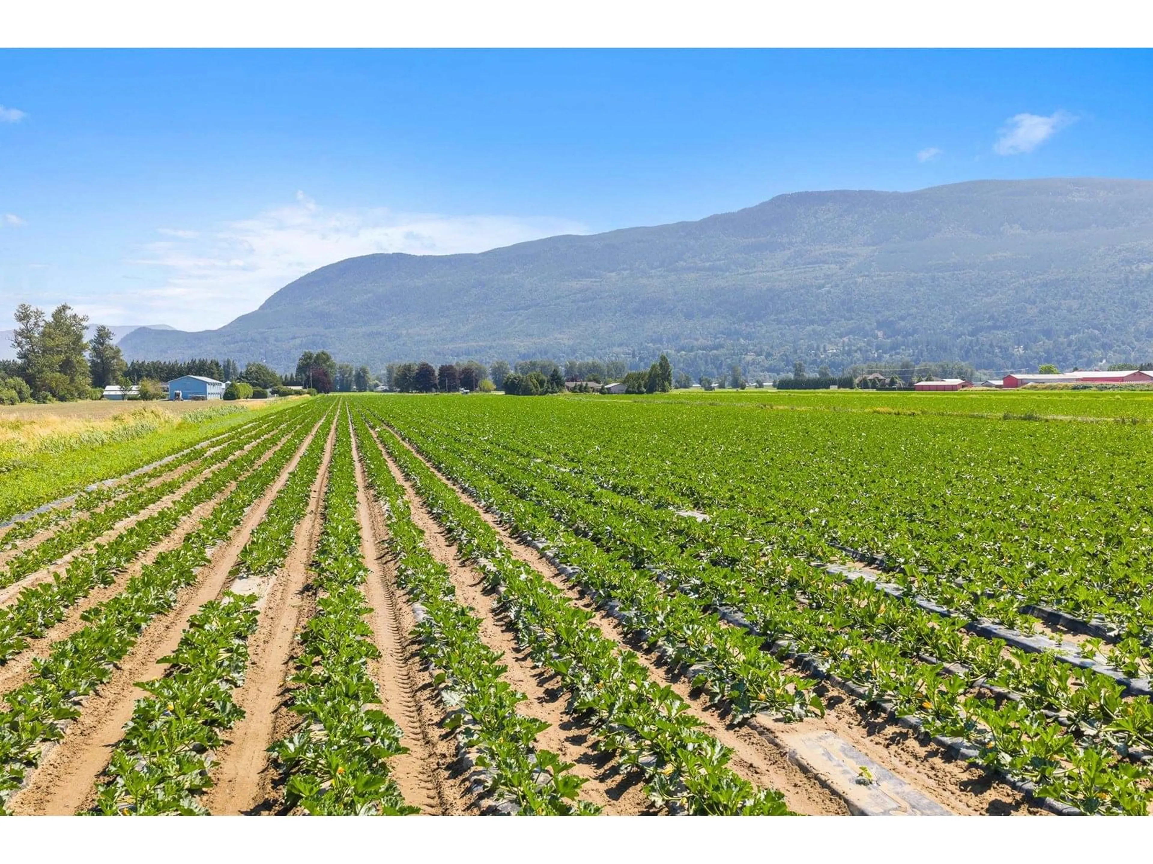 Unknown for 3873 TOLMIE, Abbotsford British Columbia V3G2T9