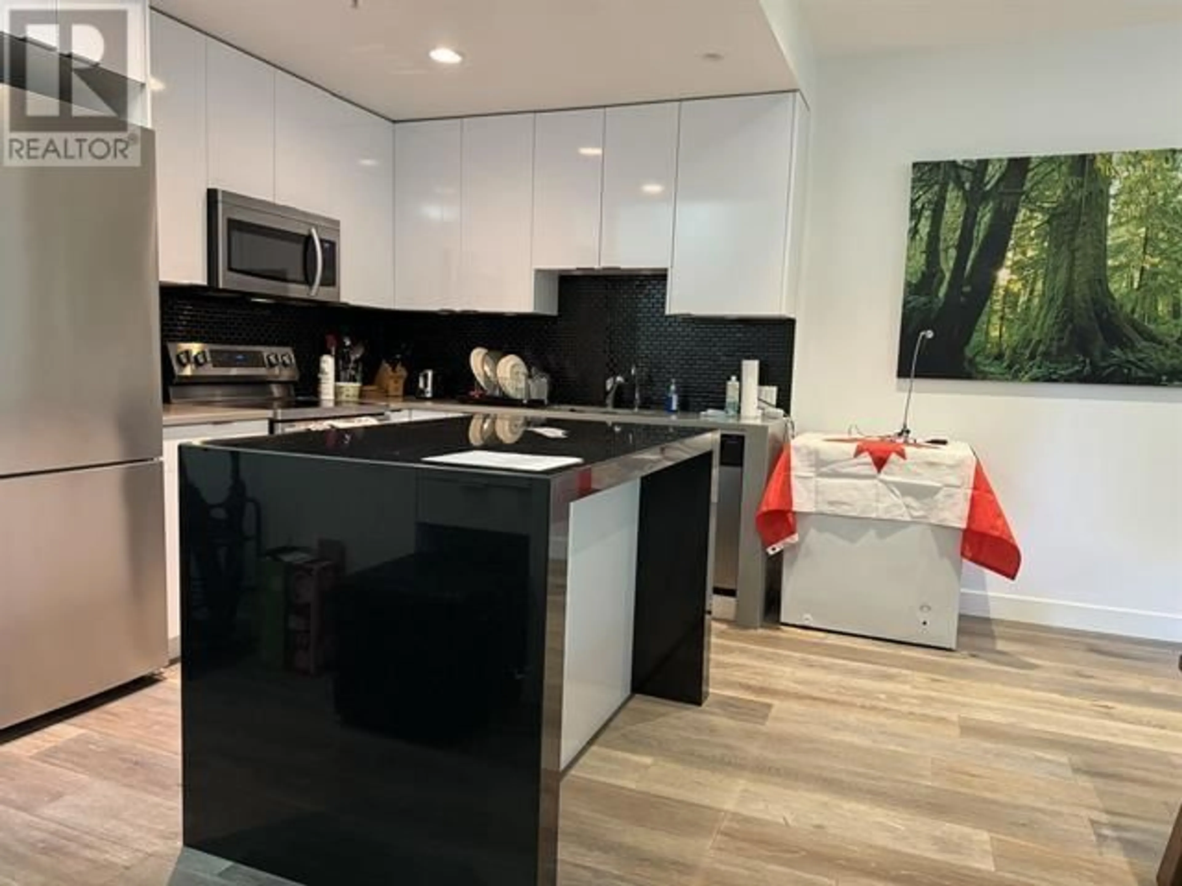 Open concept kitchen, unknown for 103 - 615 HAMILTON STREET, New Westminster British Columbia V3M7A7